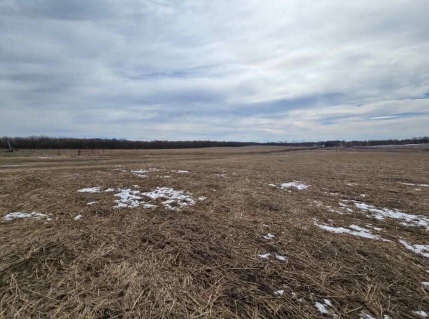 000 West Farm Road 94 Tract 5 Property Photo 3