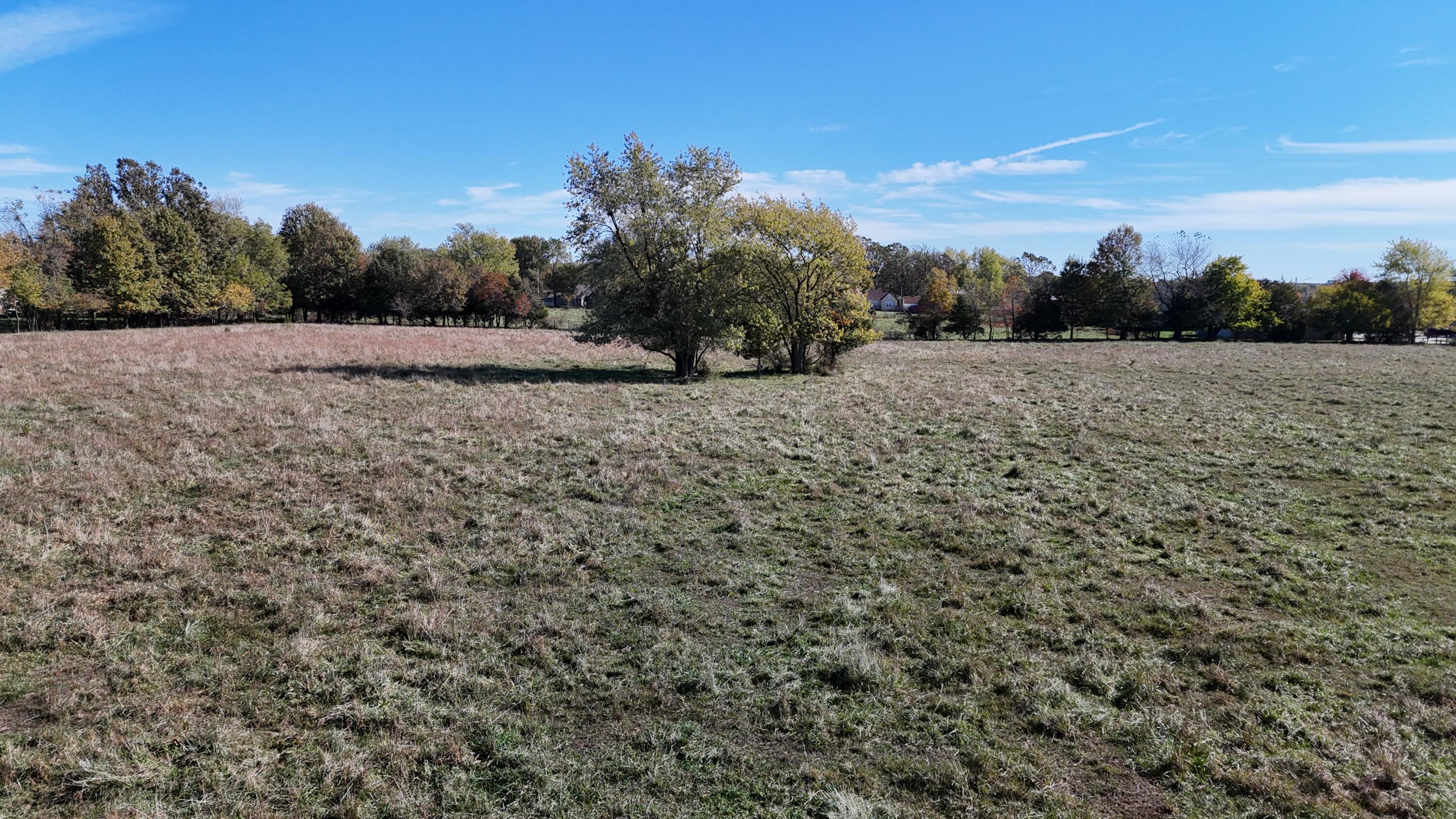 0 Winningham Road Property Photo 1
