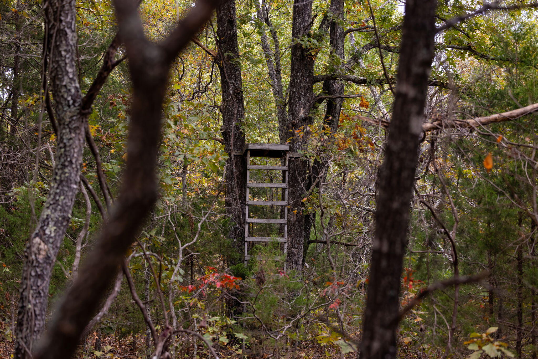 000 Highway V Property Photo 15