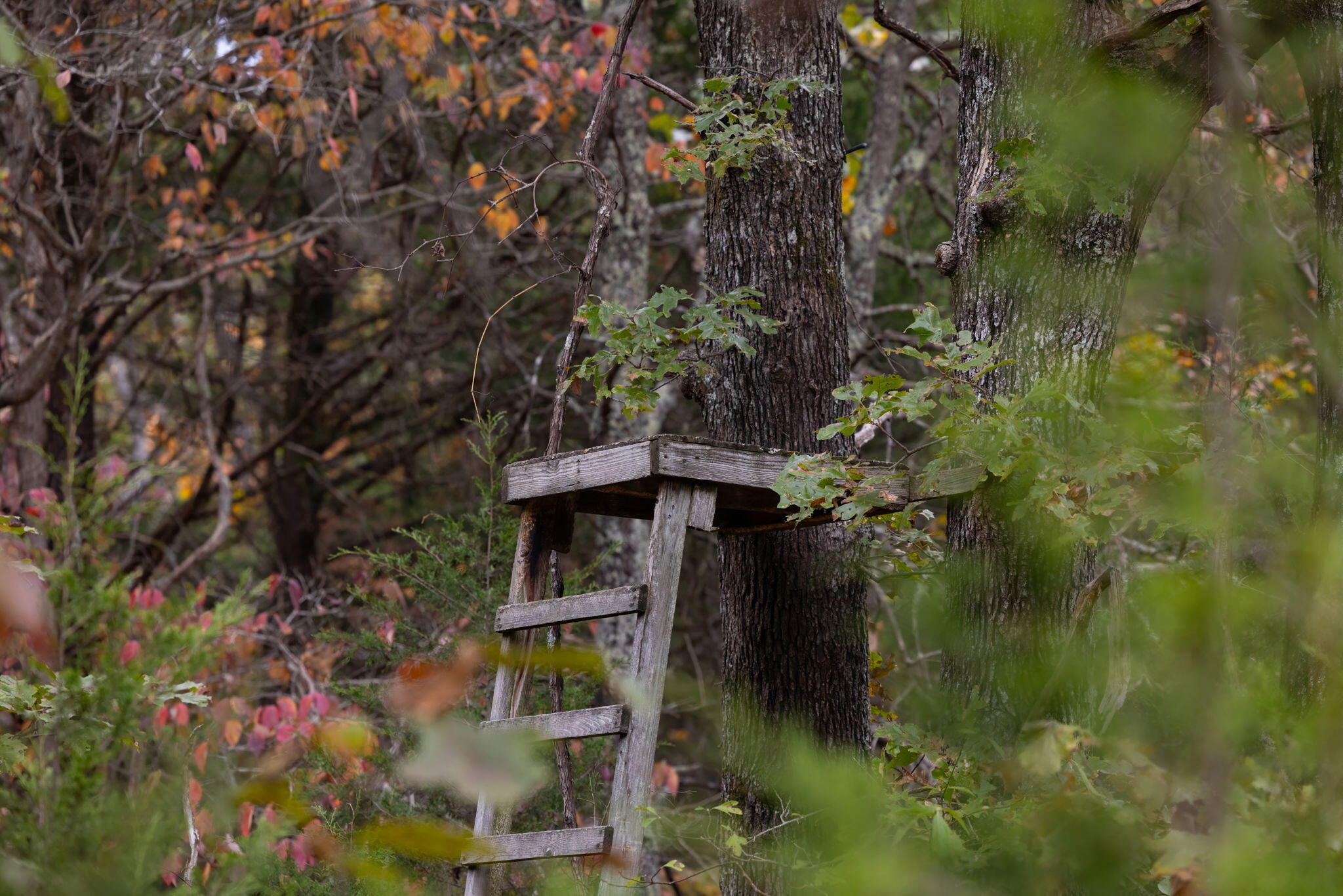 000 Highway V Property Photo 16