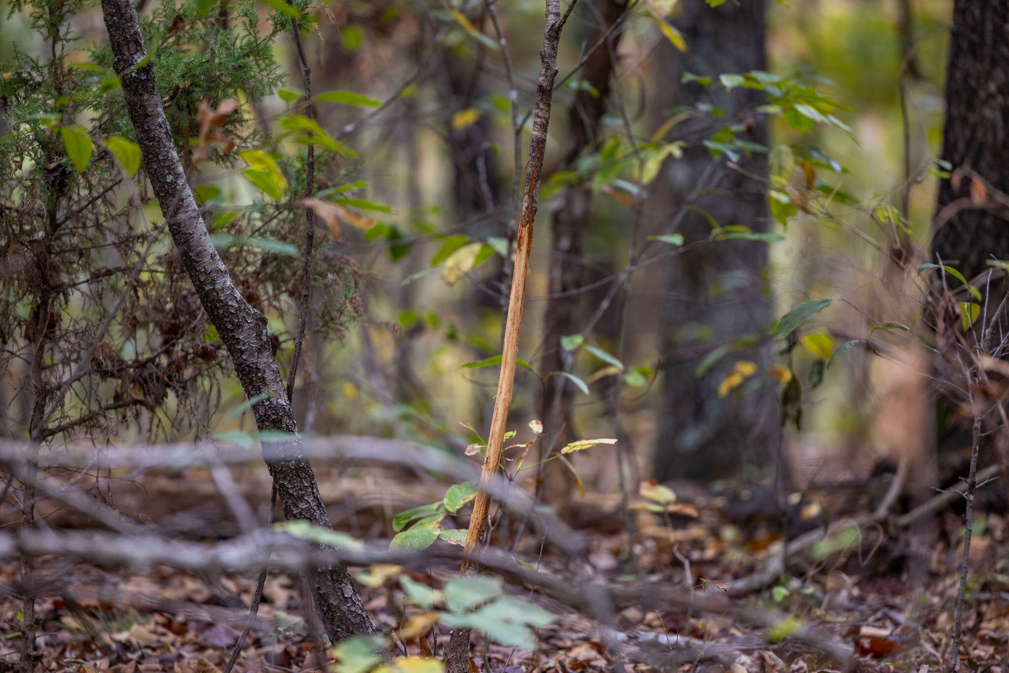 000 Highway V Property Photo 17