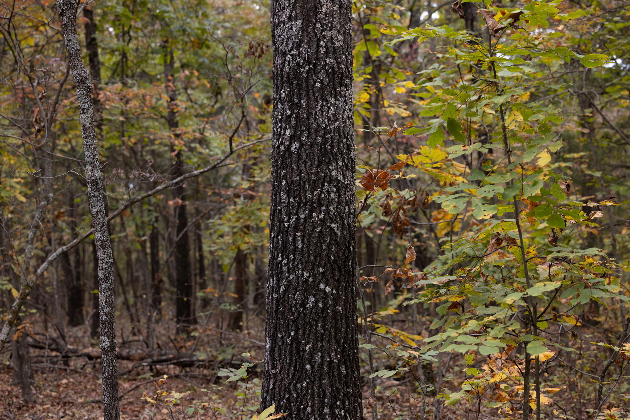 000 Highway V Property Photo 18