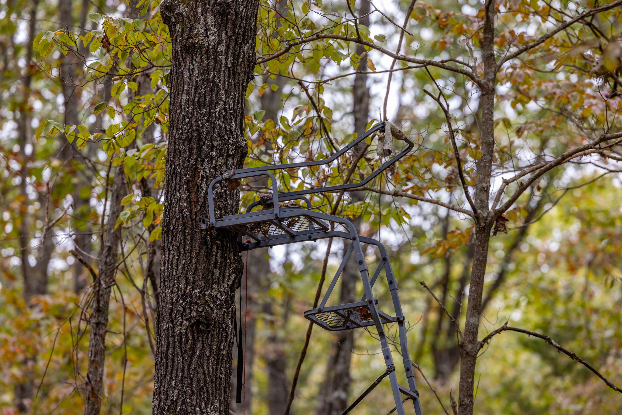 000 Highway V Property Photo 19