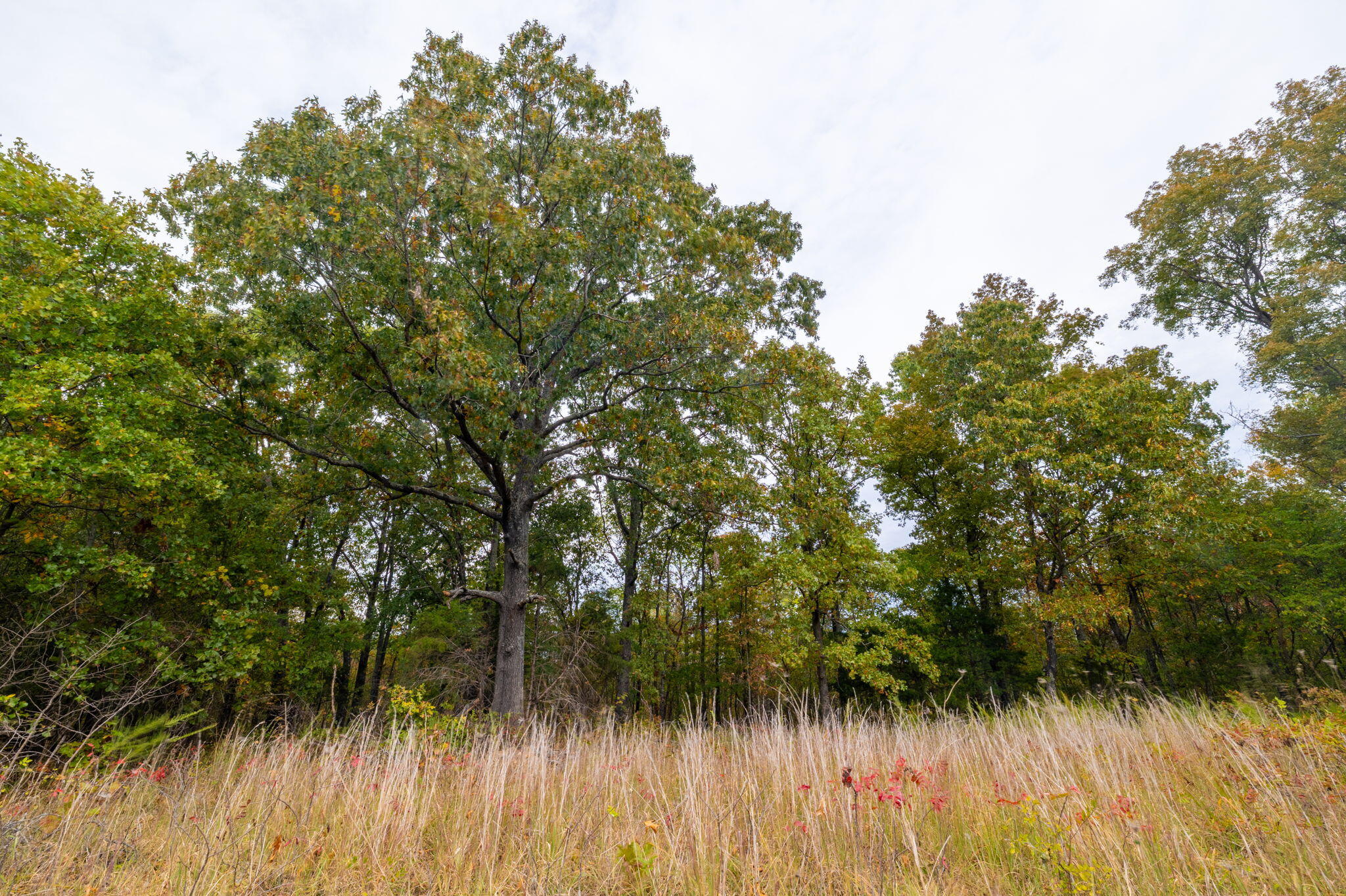 000 Highway V Property Photo 23