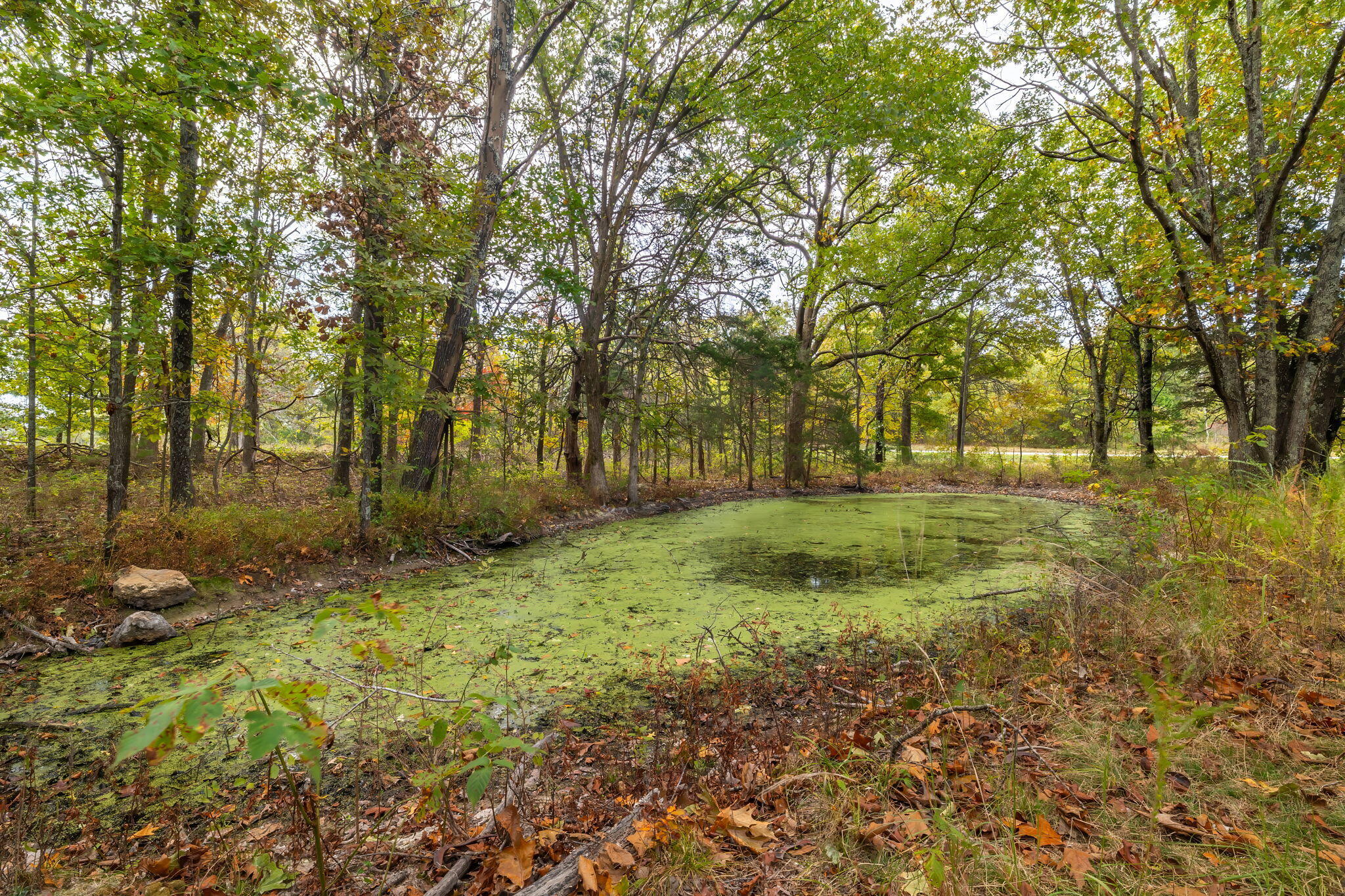 000 Highway V Property Photo 26