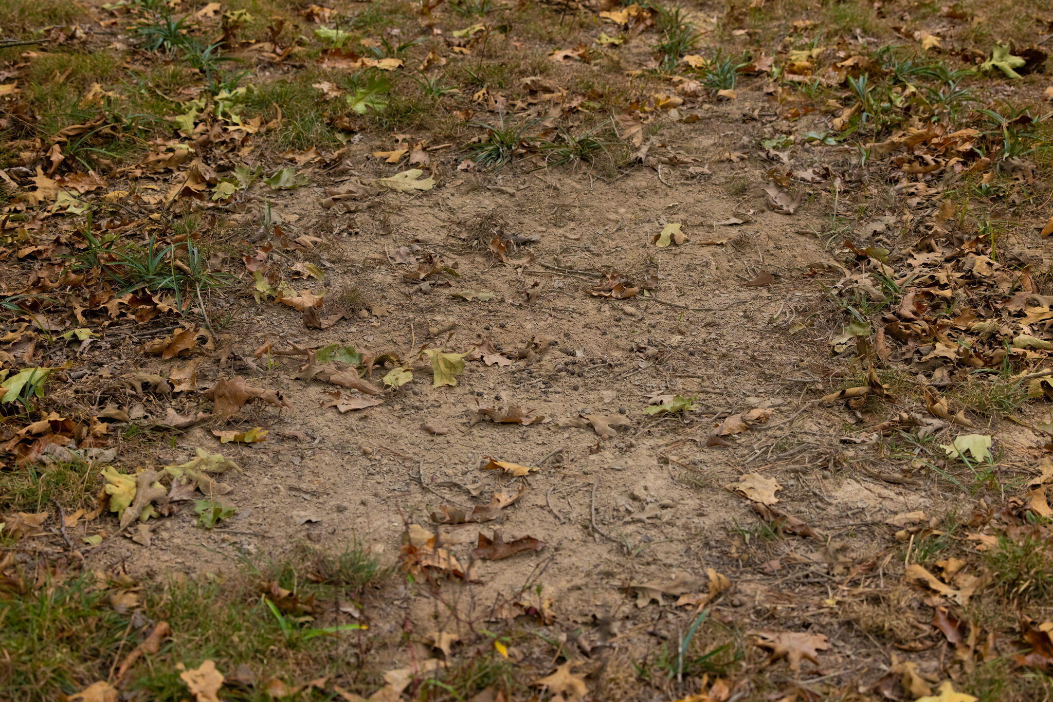 000 Highway V Property Photo 27