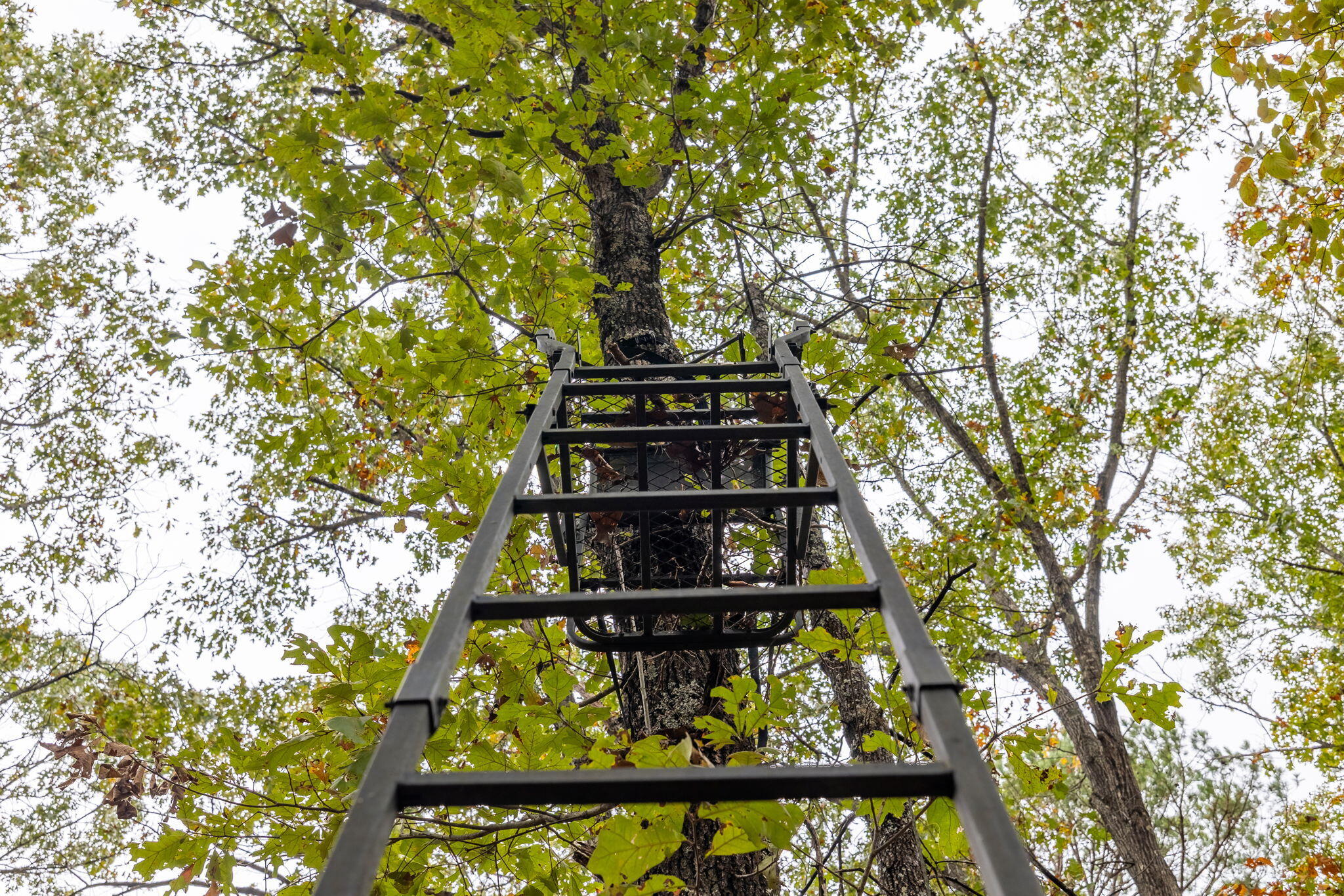 000 Highway V Property Photo 28