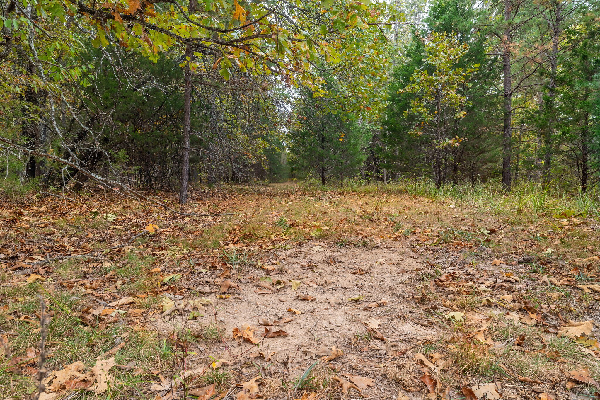 000 Highway V Property Photo 29