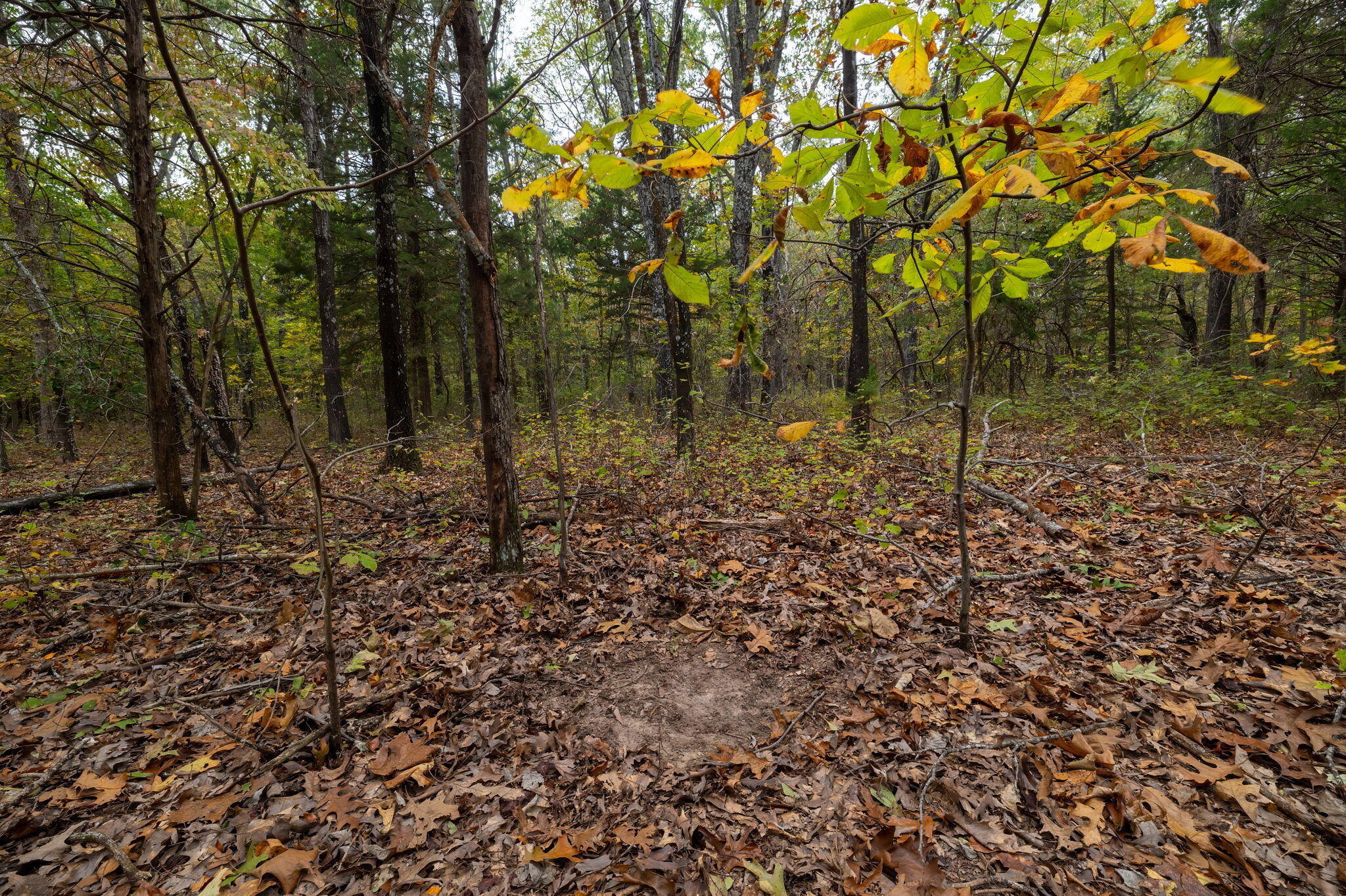 000 Highway V Property Photo 30