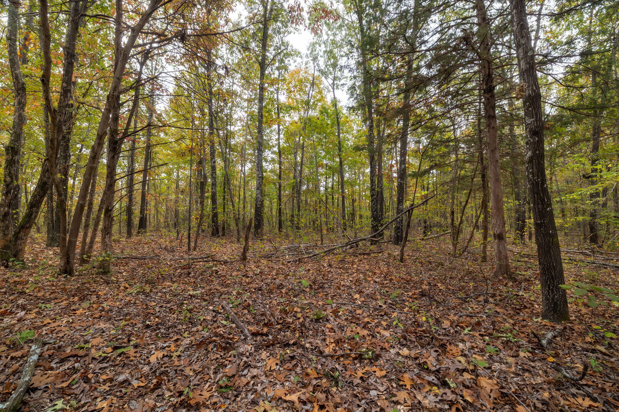 000 Highway V Property Photo 31