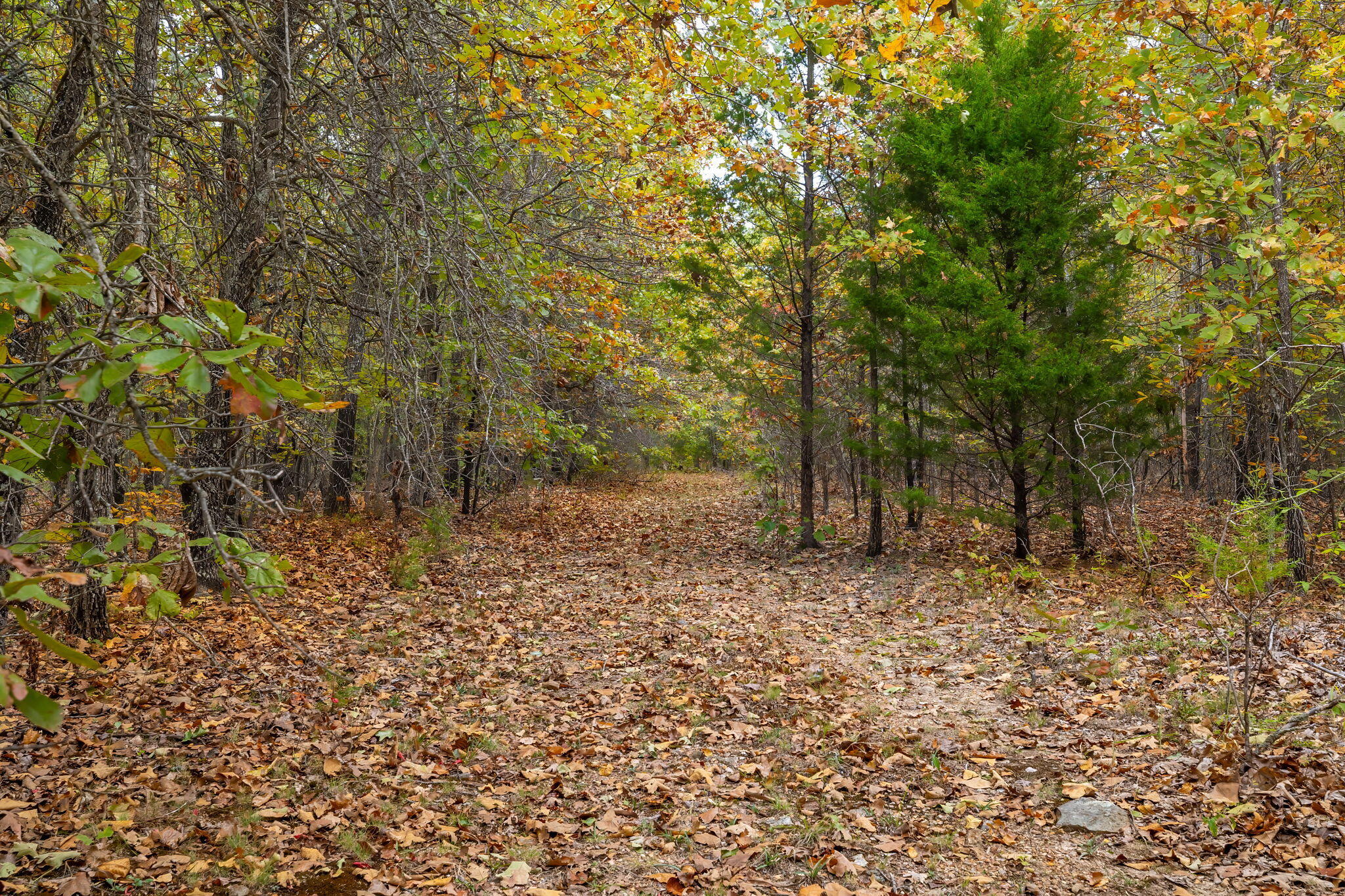 000 Highway V Property Photo 32