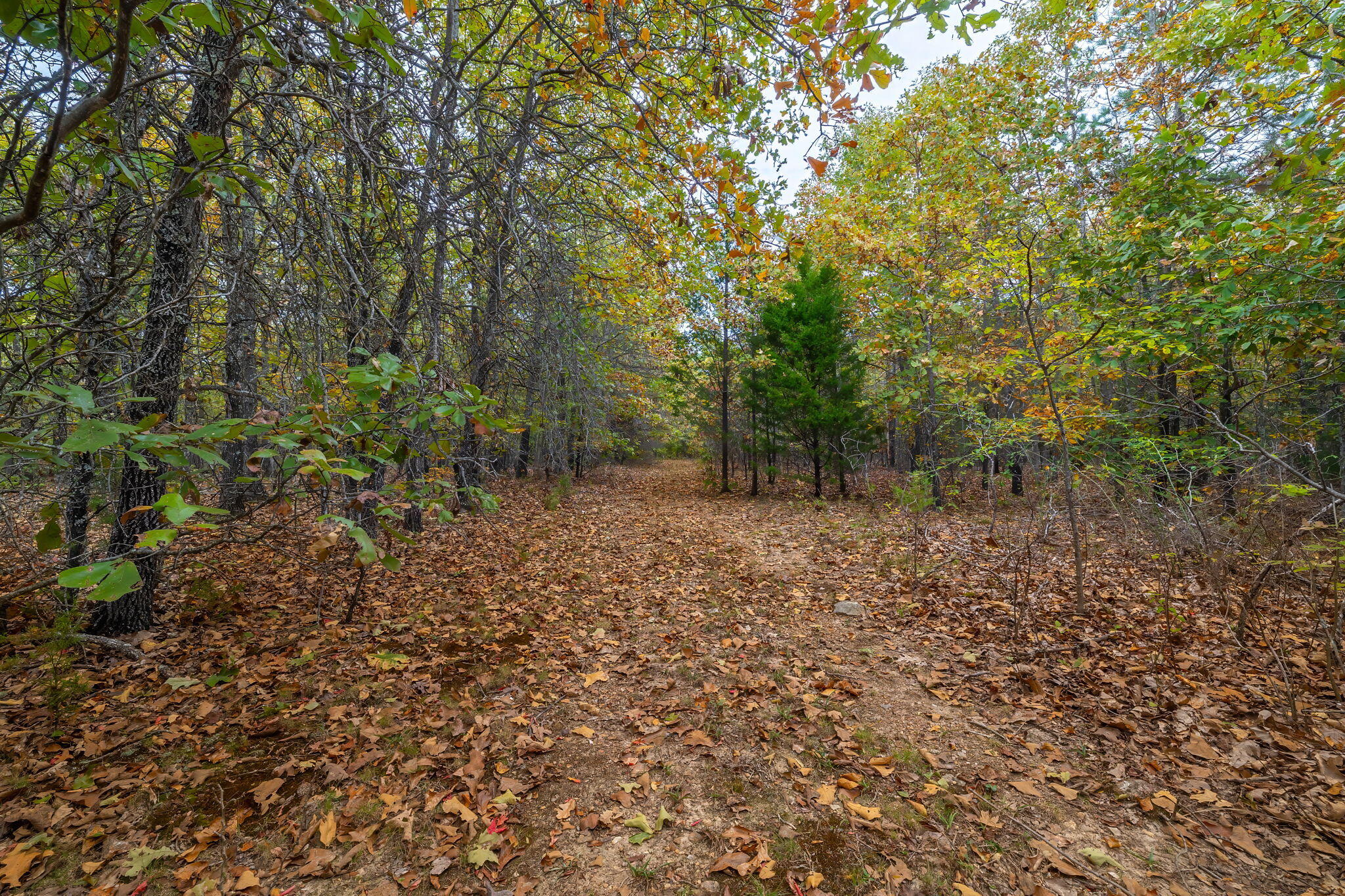 000 Highway V Property Photo 33