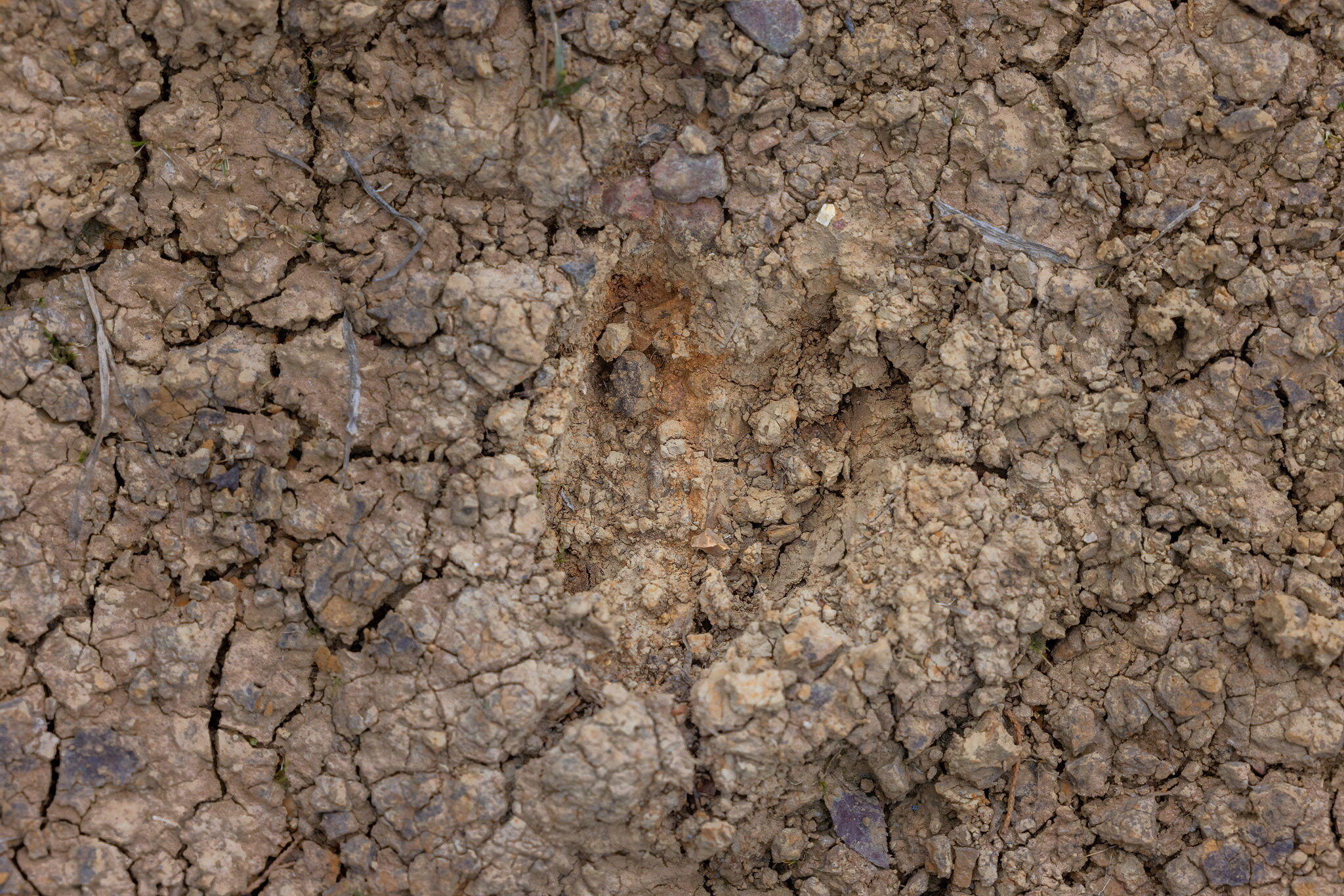 000 Highway V Property Photo 38