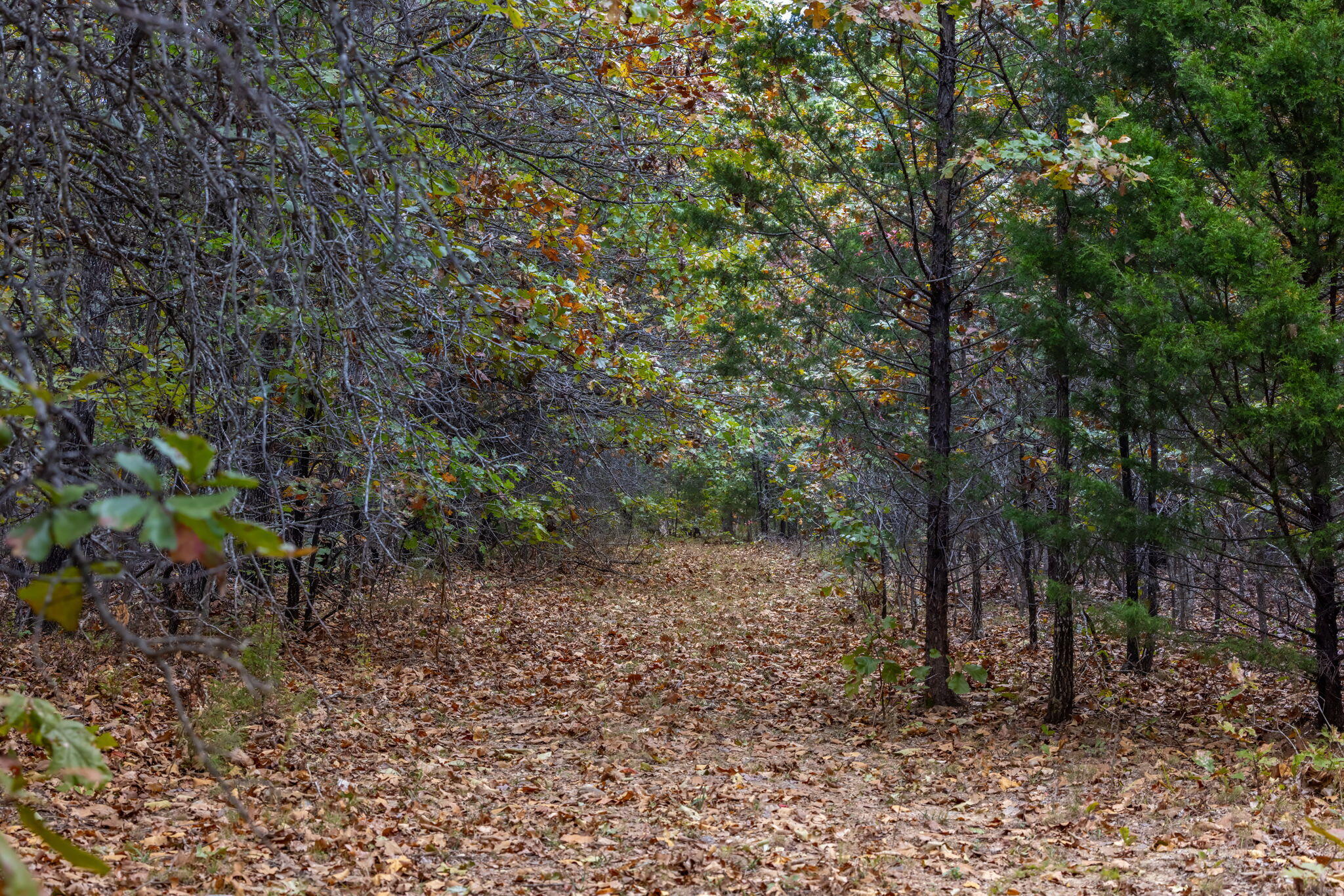 000 Highway V Property Photo 39