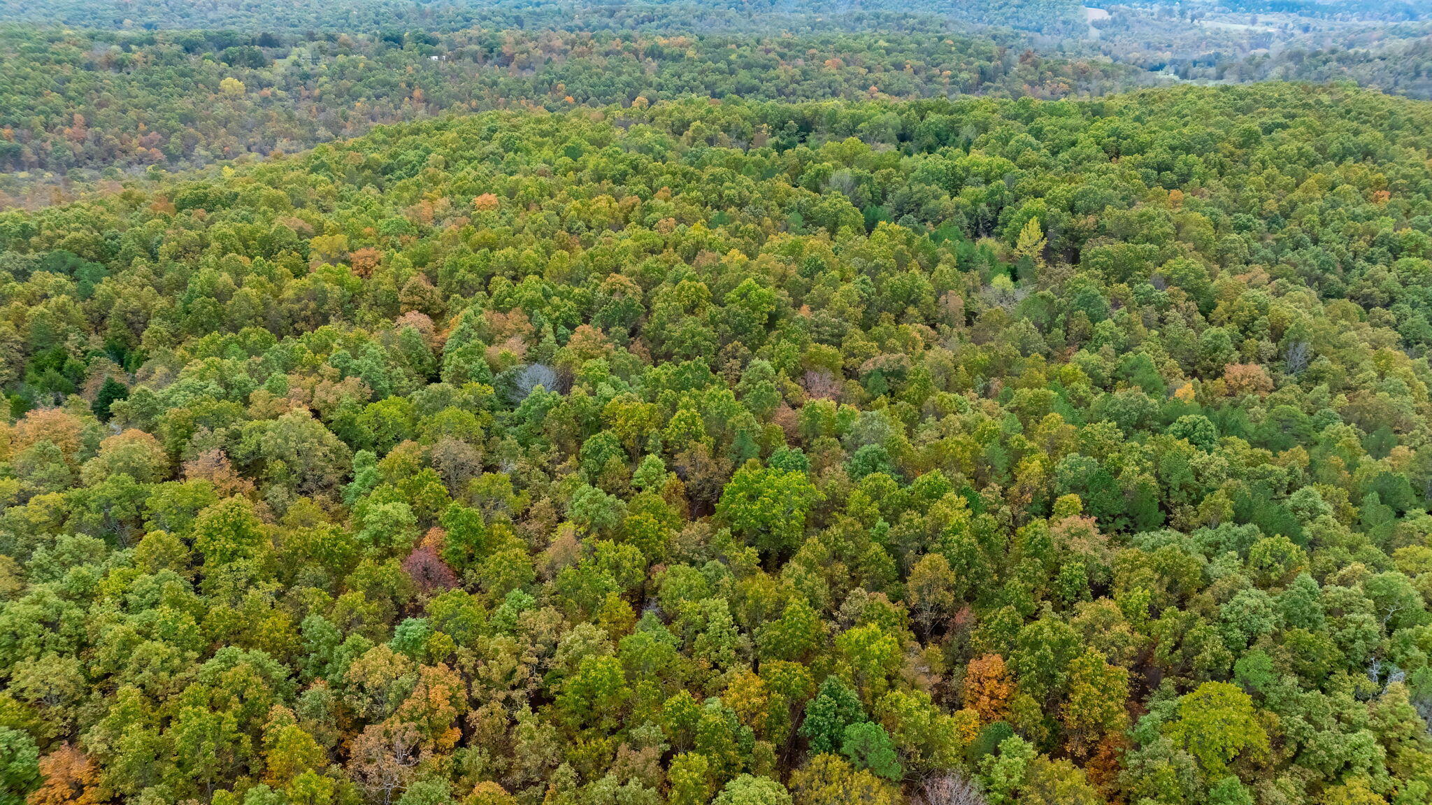 000 Highway V Property Photo 53