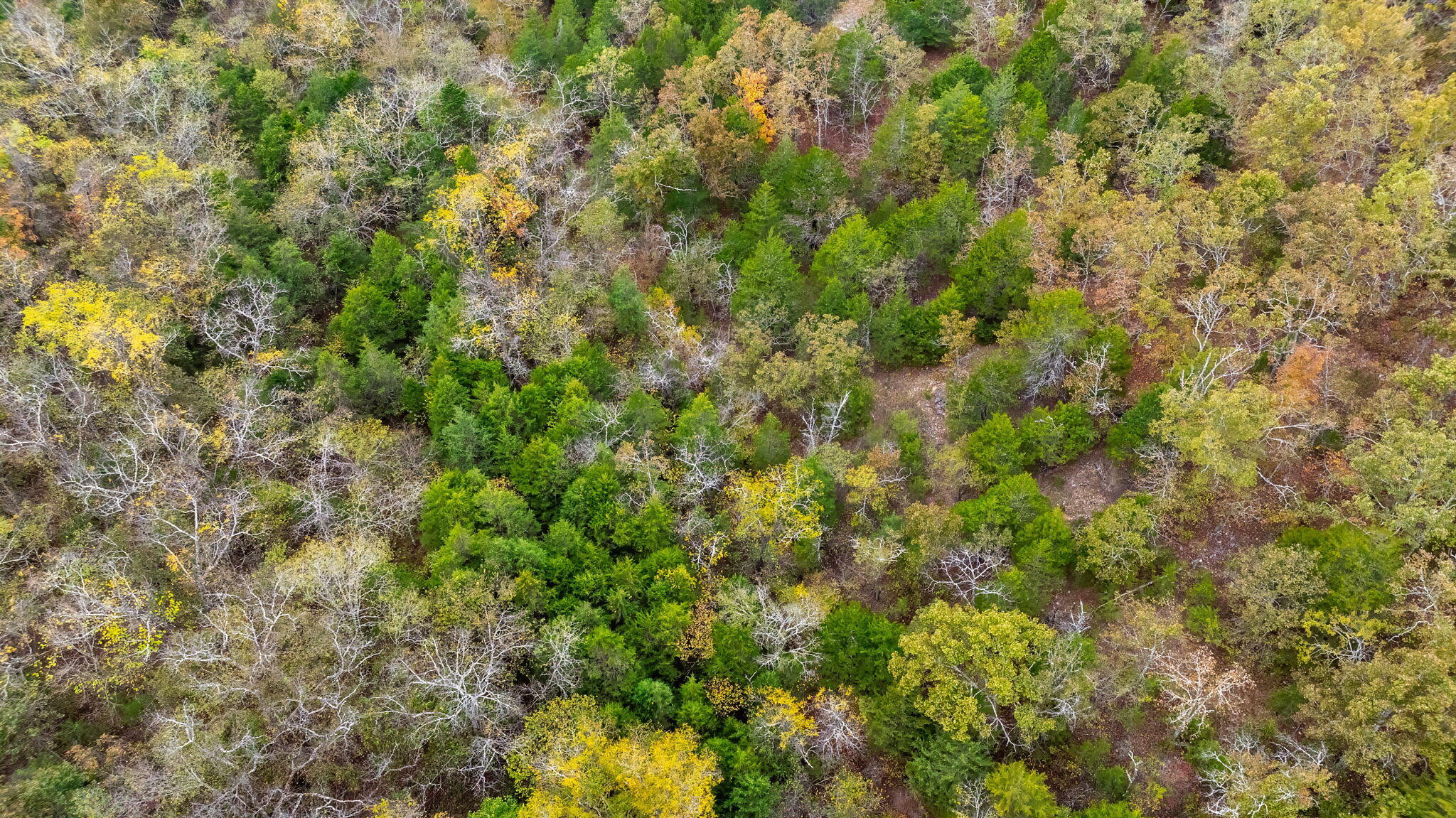 000 Highway V Property Photo 66