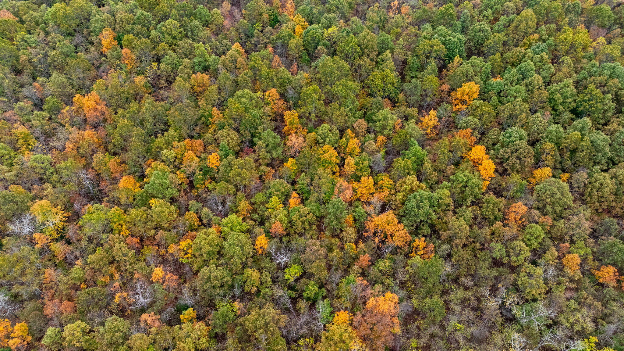 000 Highway V Property Photo 67