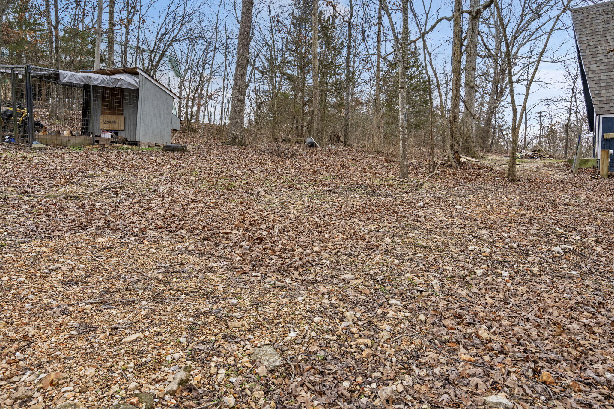 Tbd Black Oak Resort Lane Property Photo 6