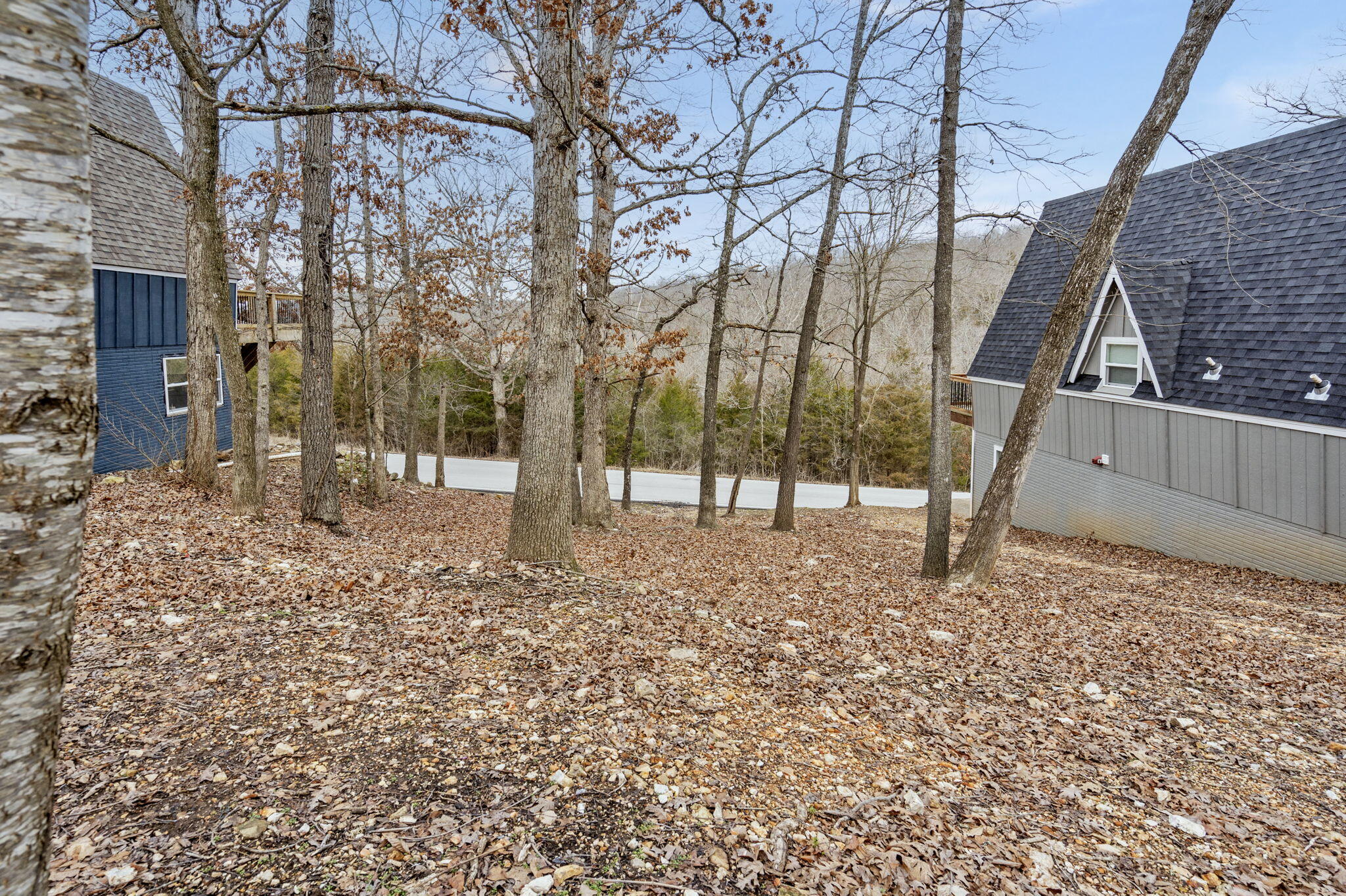 Tbd Black Oak Resort Lane Property Photo 12