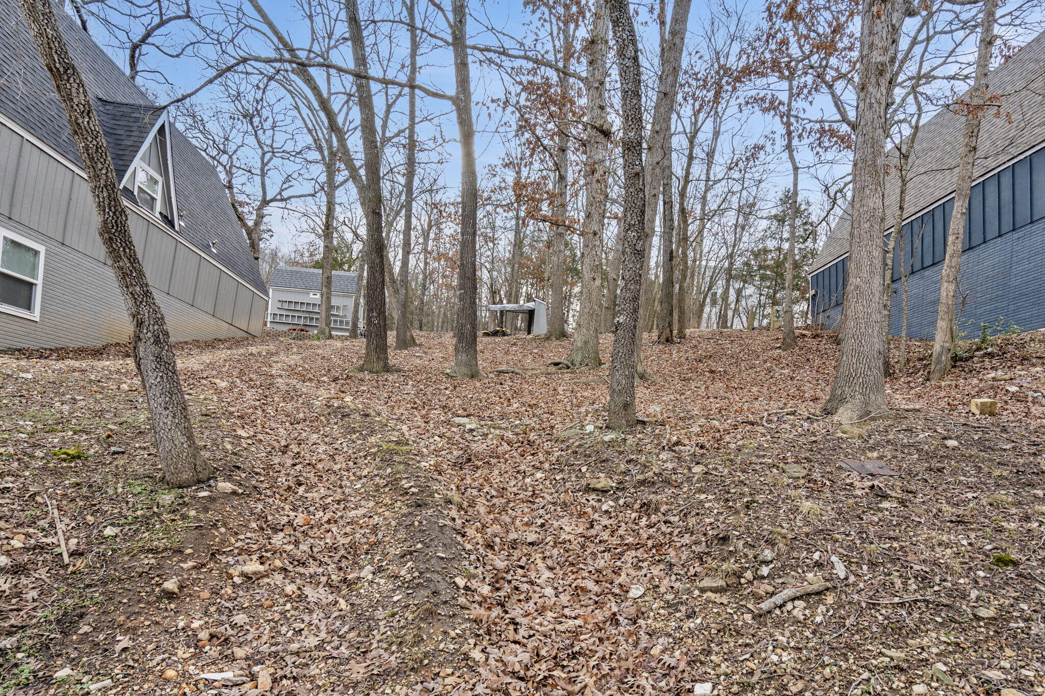 Tbd Black Oak Resort Lane Property Photo 13