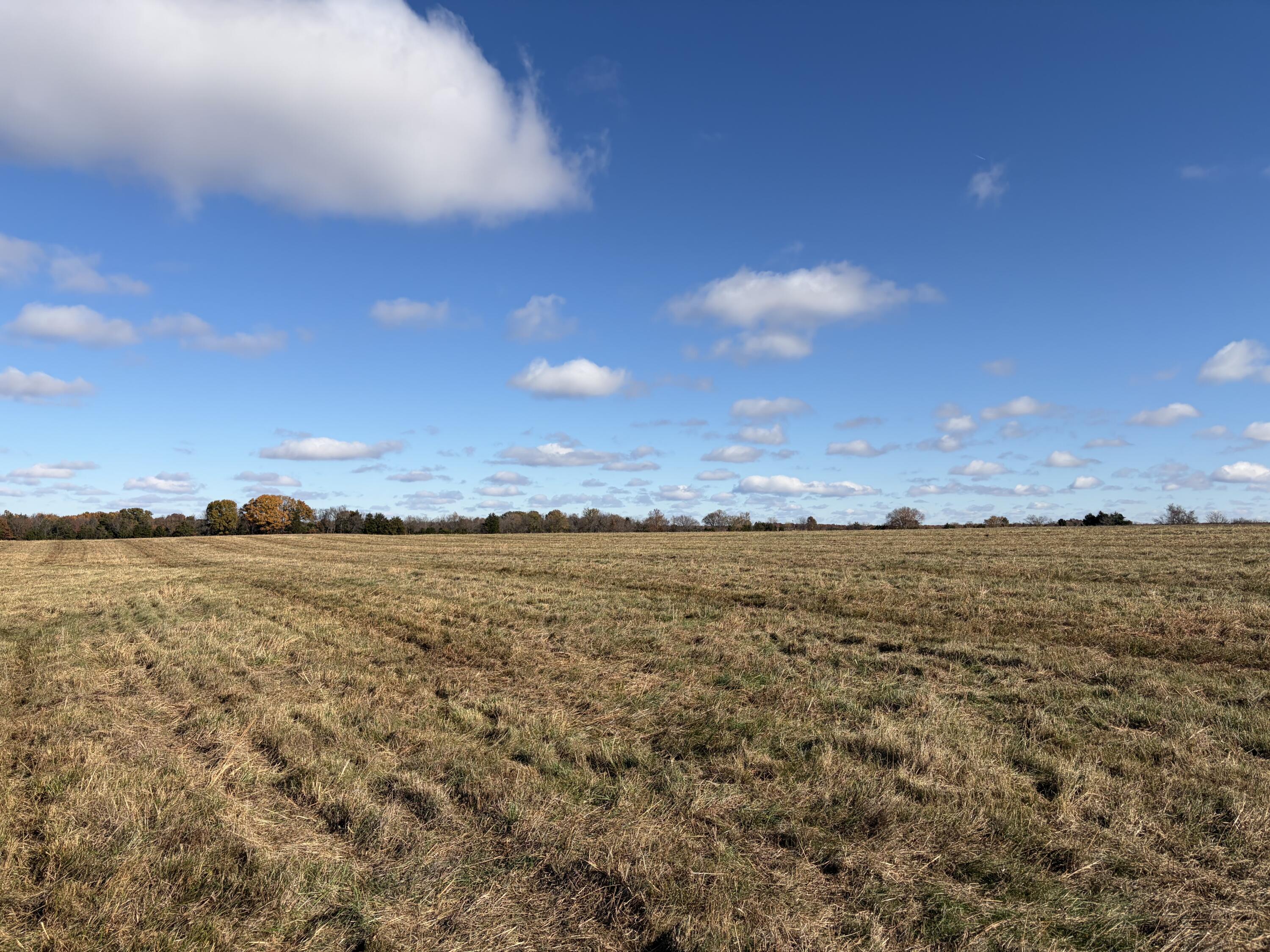 12600 Southeast 276 Road Property Photo 5