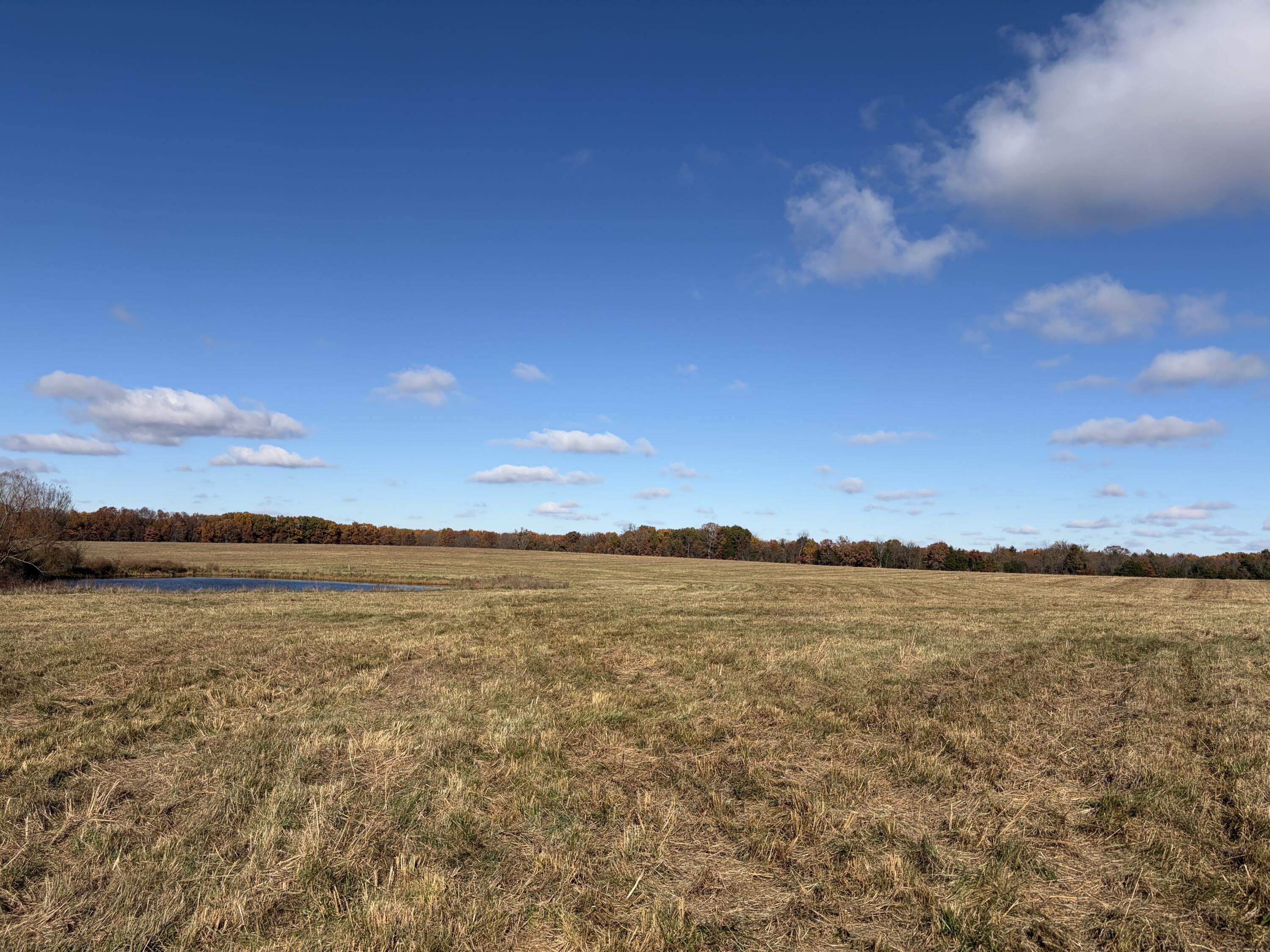 12600 Southeast 276 Road Property Photo 6