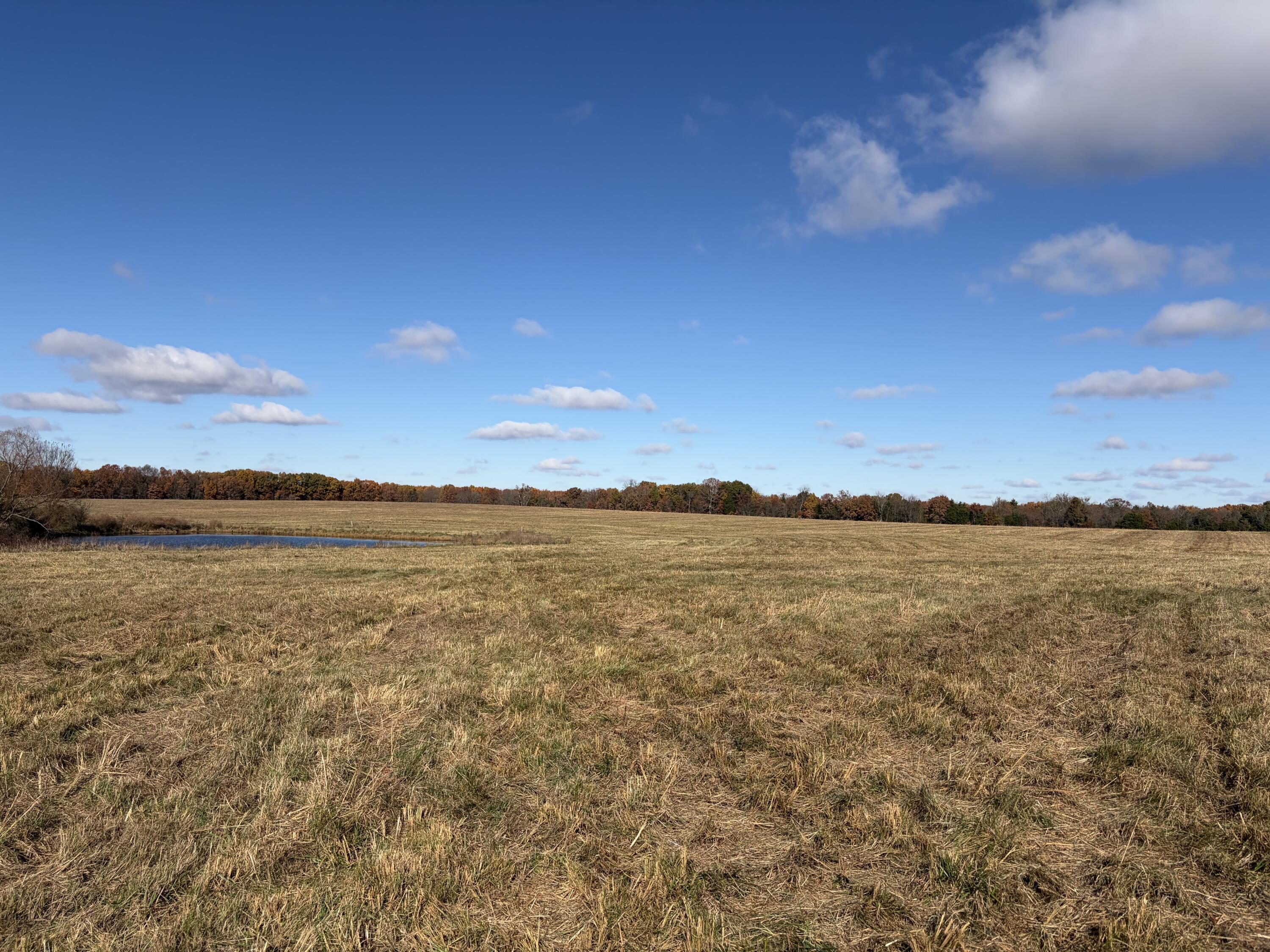 12600 Southeast 276 Road Property Photo 7