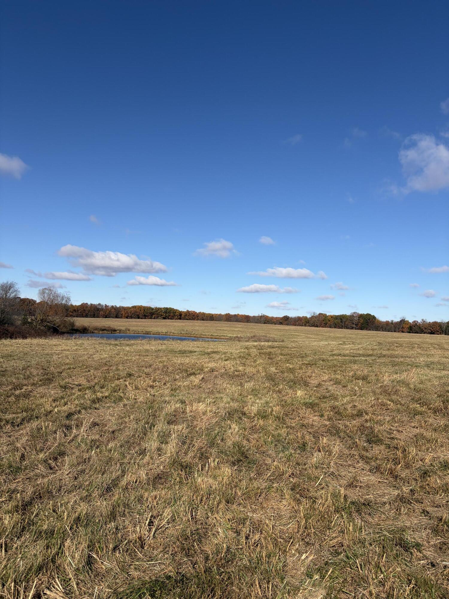 12600 Southeast 276 Road Property Photo 8