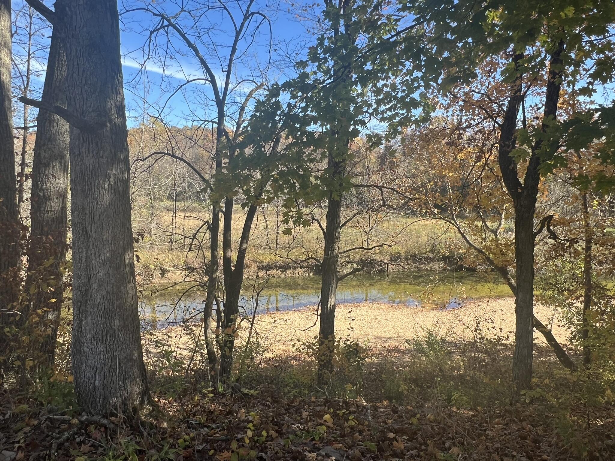 2709 Wagner Road Property Photo 43