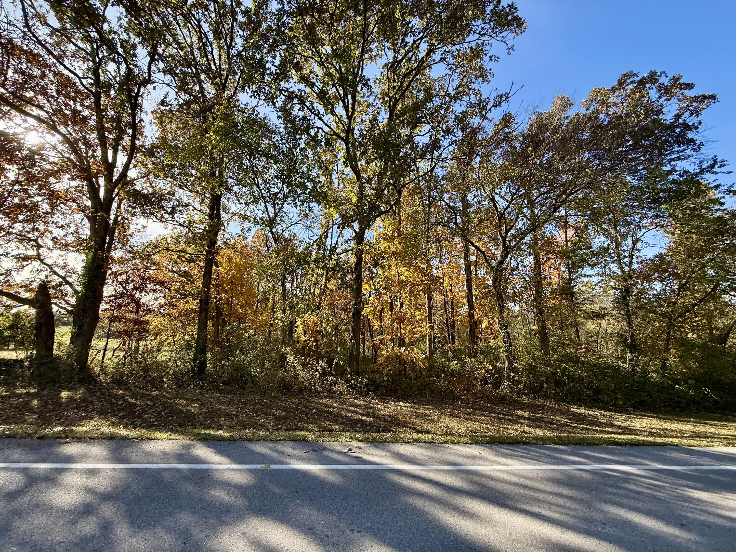 000 Lilly Avenue Property Photo 1