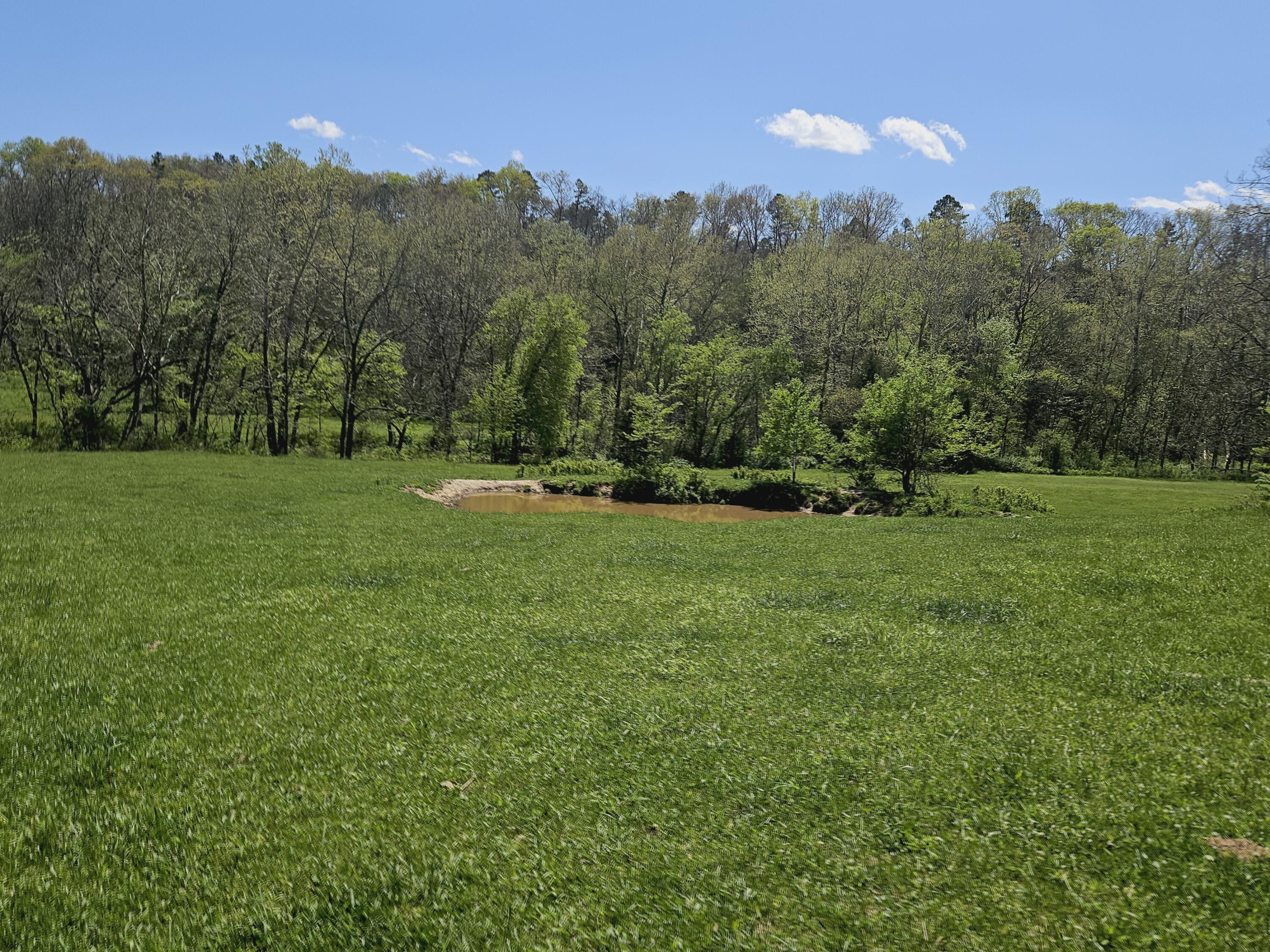 205 County Road 6550 Property Photo 4
