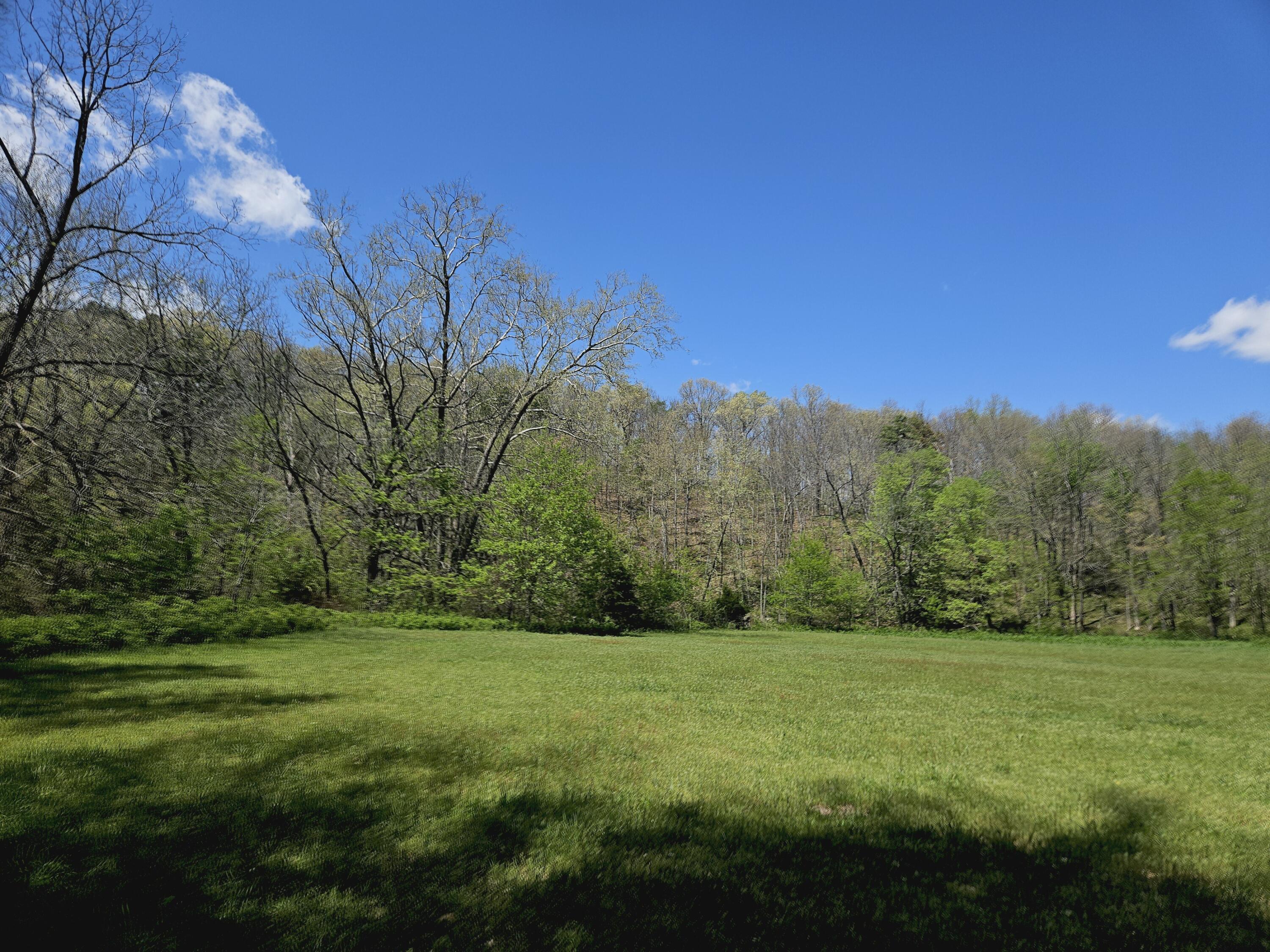 205 County Road 6550 Property Photo 5