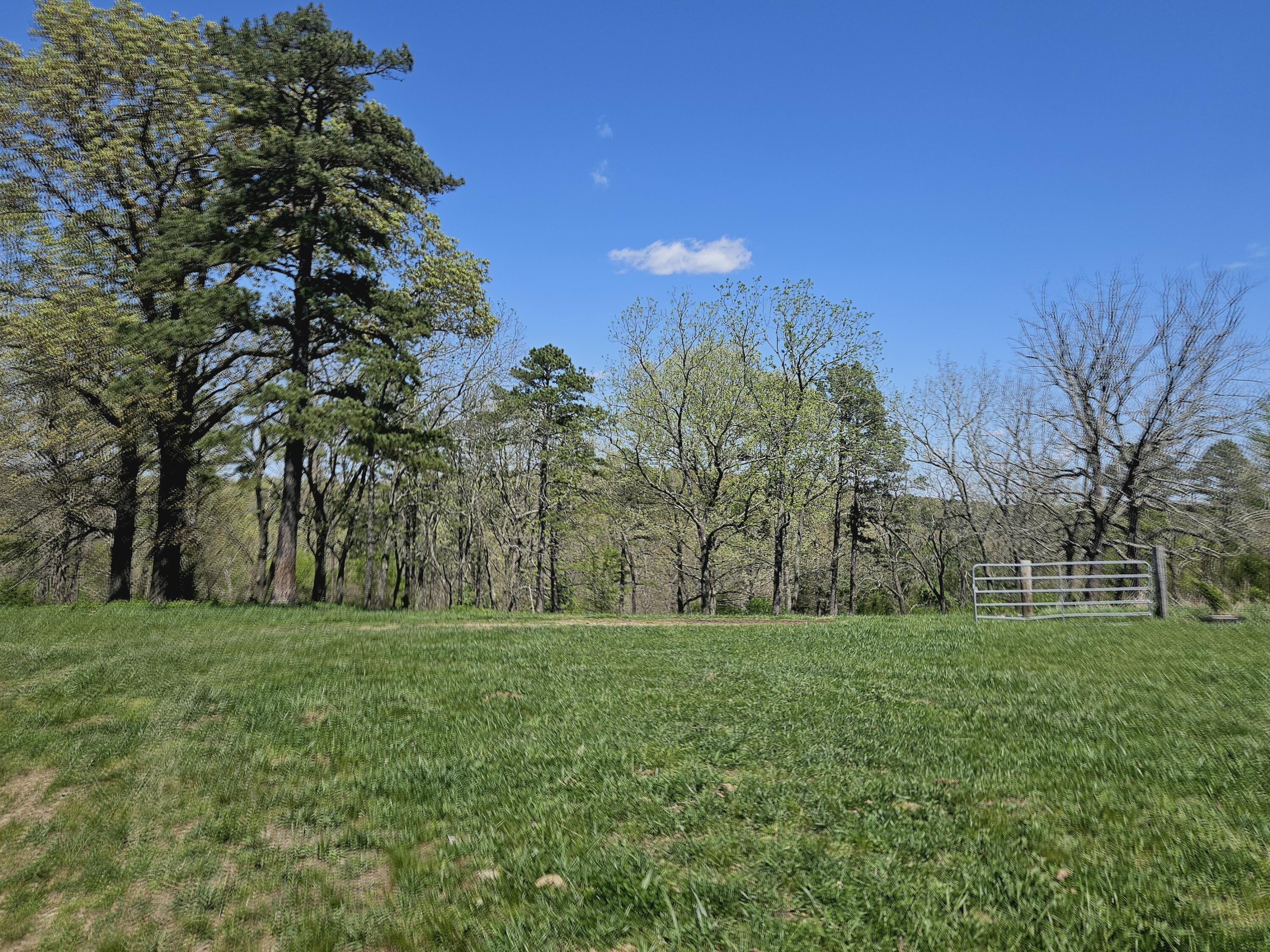 205 County Road 6550 Property Photo 6