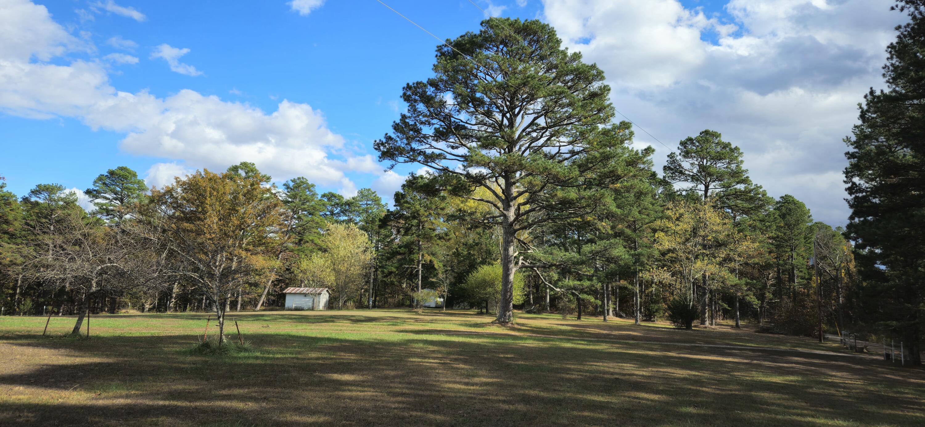 205 County Road 6550 Property Photo 12
