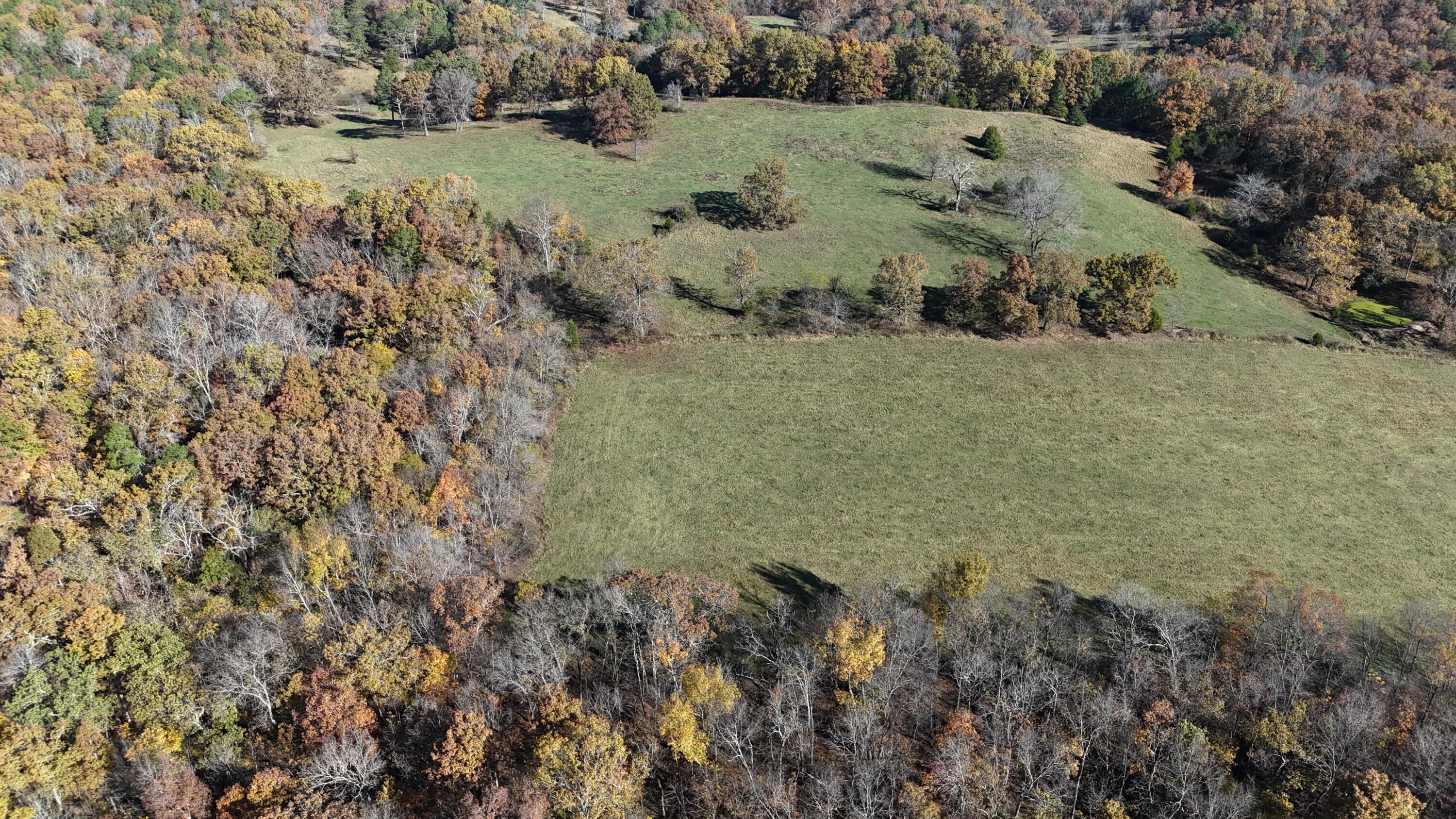 205 County Road 6550 Property Photo 50