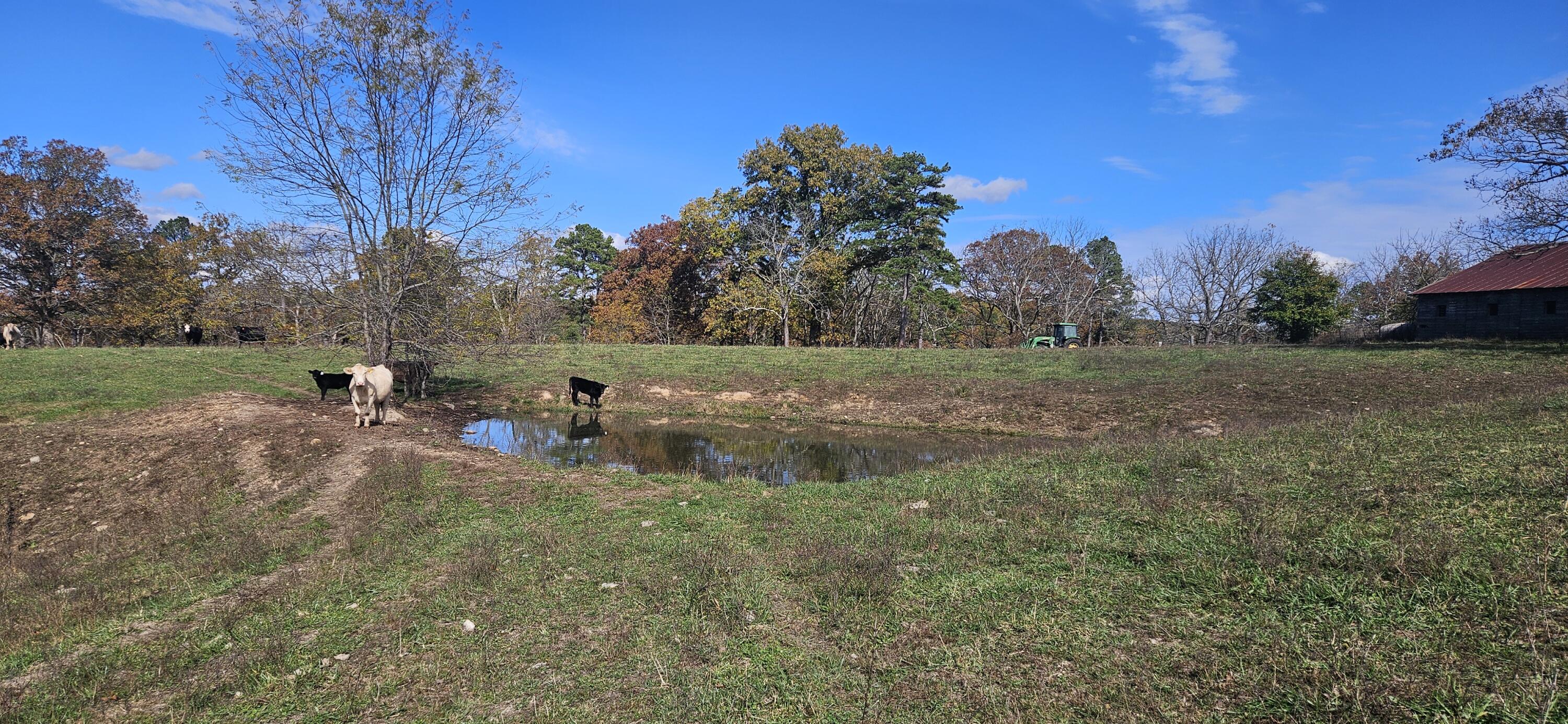 205 County Road 6550 Property Photo 51
