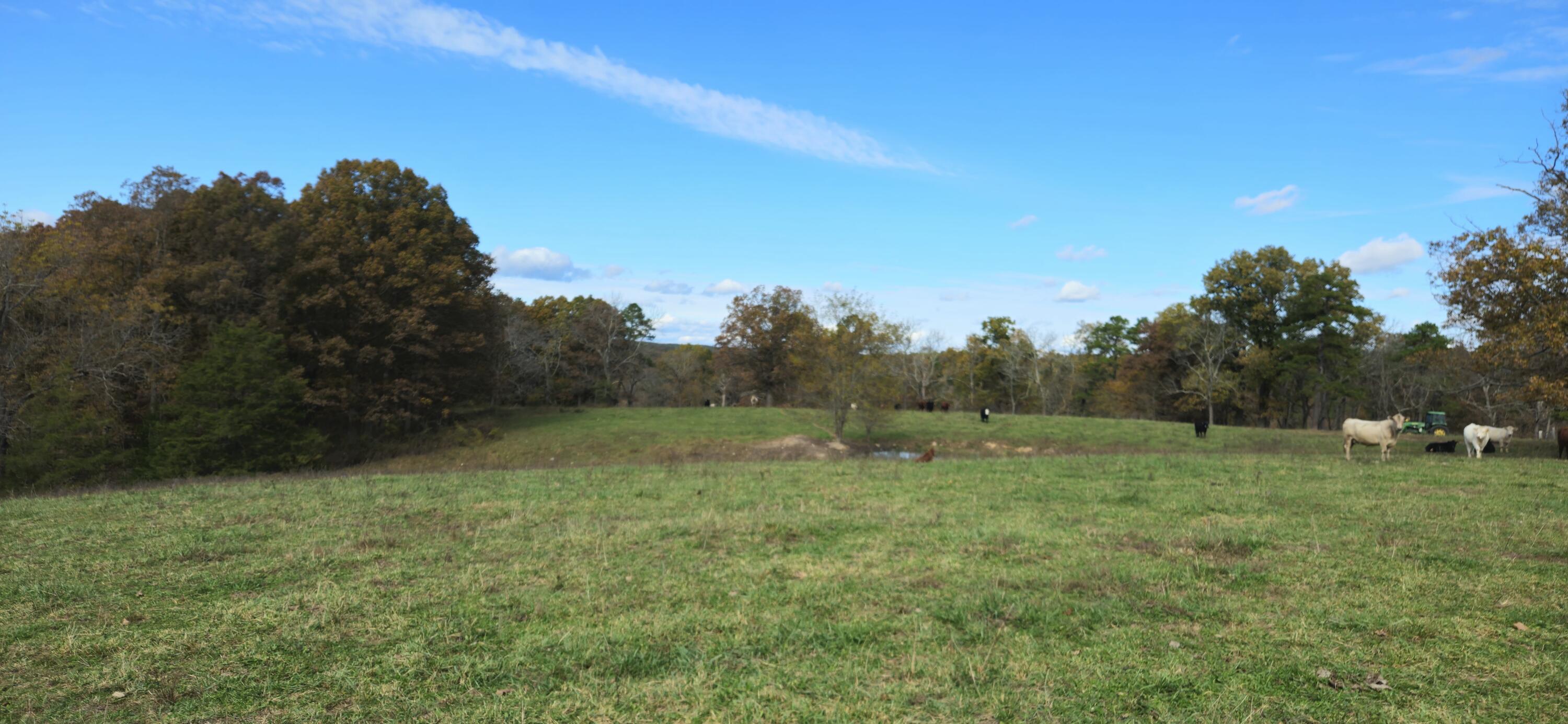 205 County Road 6550 Property Photo 53