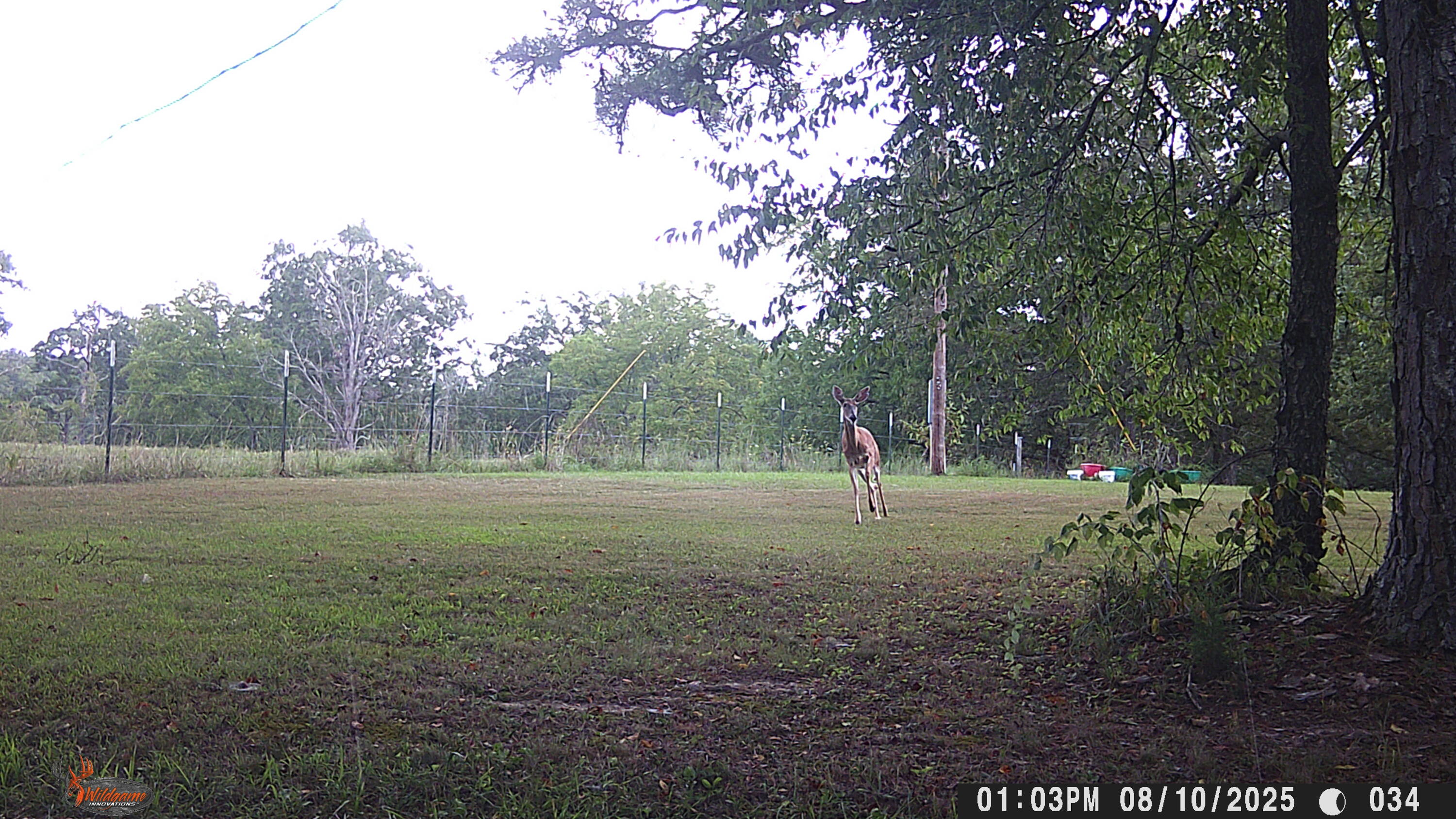 205 County Road 6550 Property Photo 84