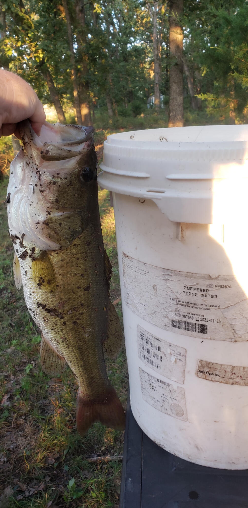 167 East 334th Road Property Photo 2