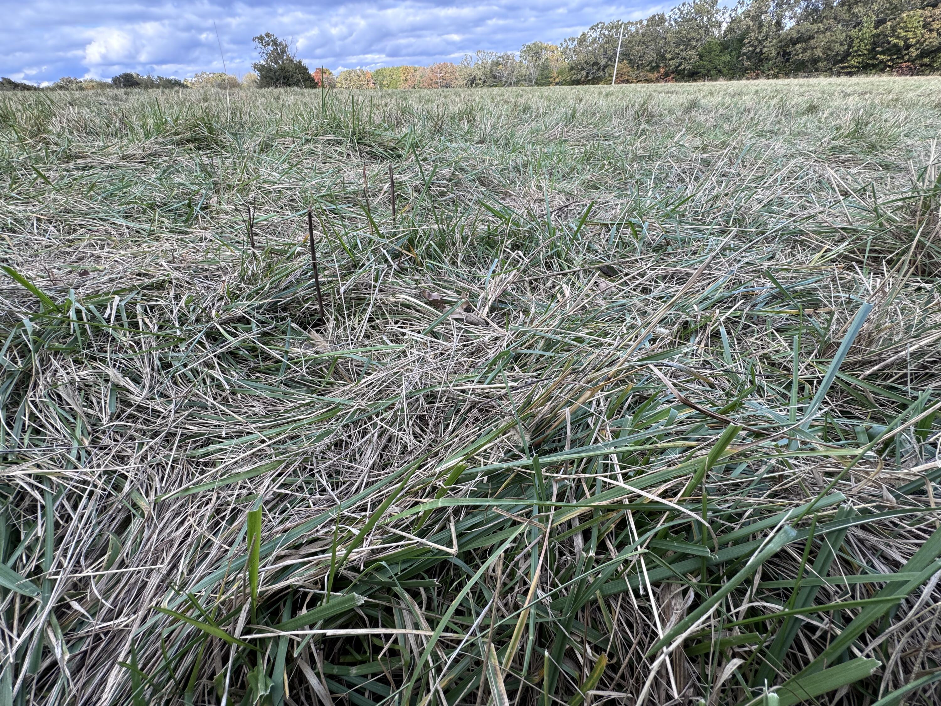 167 East 334th Road Property Photo 11