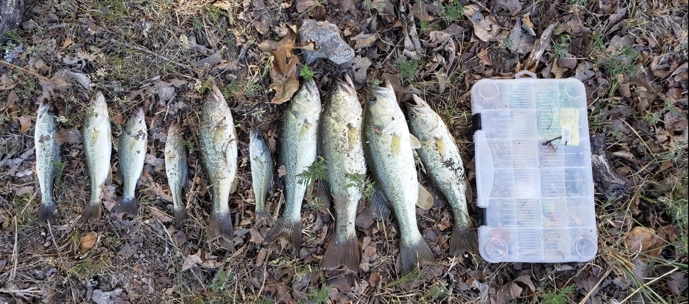 167 East 334th Road Property Photo 24