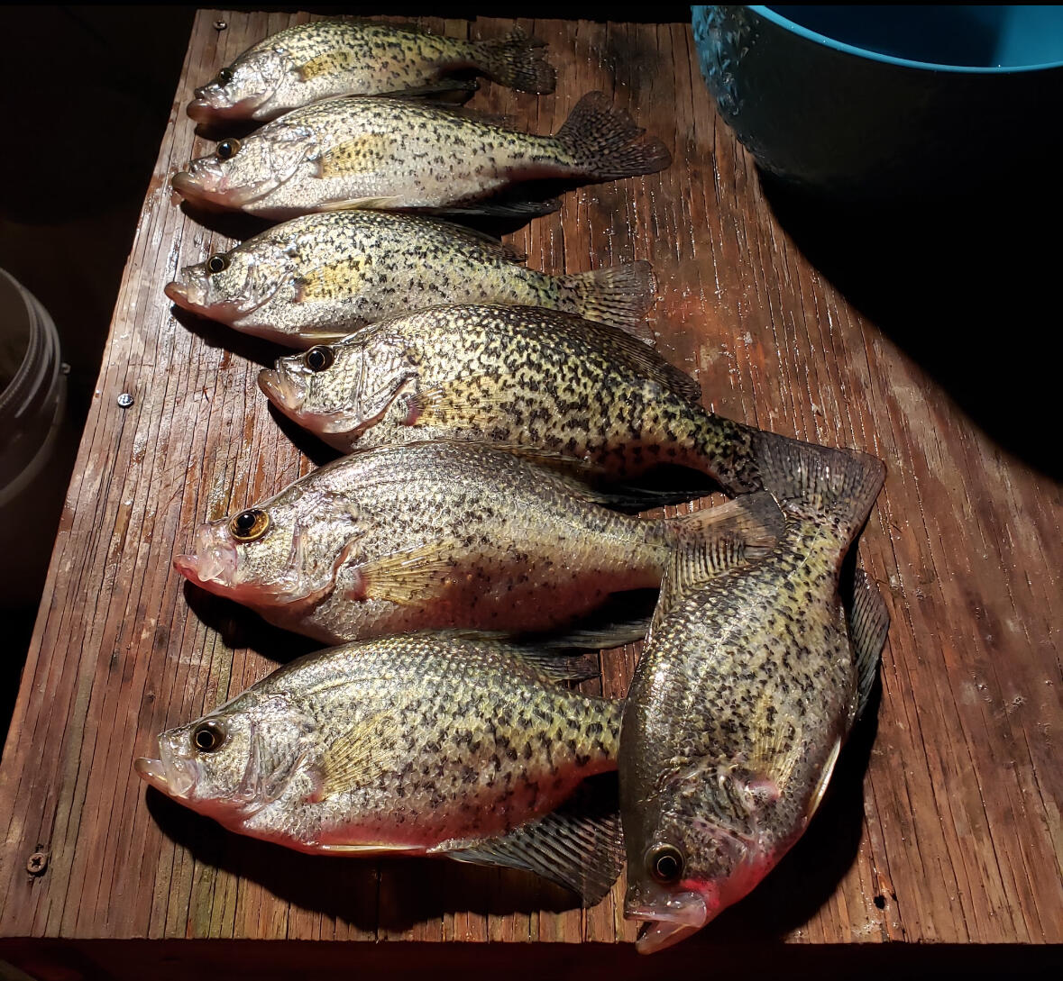 167 East 334th Road Property Photo 25