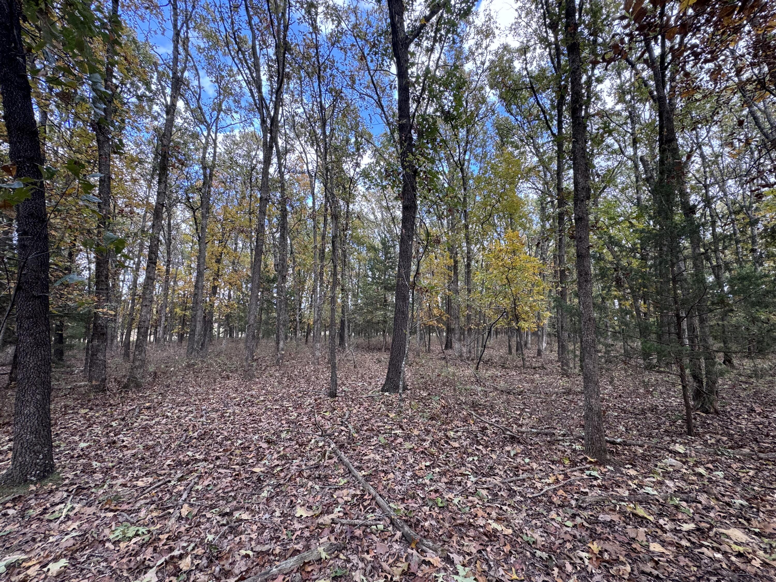 167 East 334th Road Property Photo 27