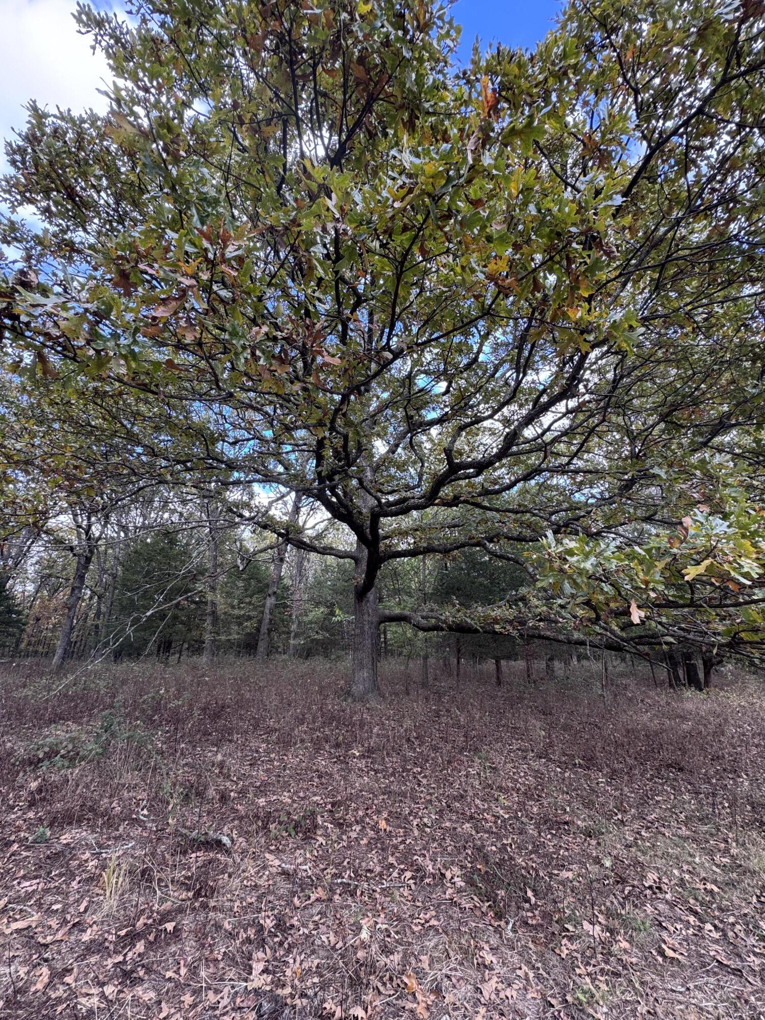 167 East 334th Road Property Photo 31