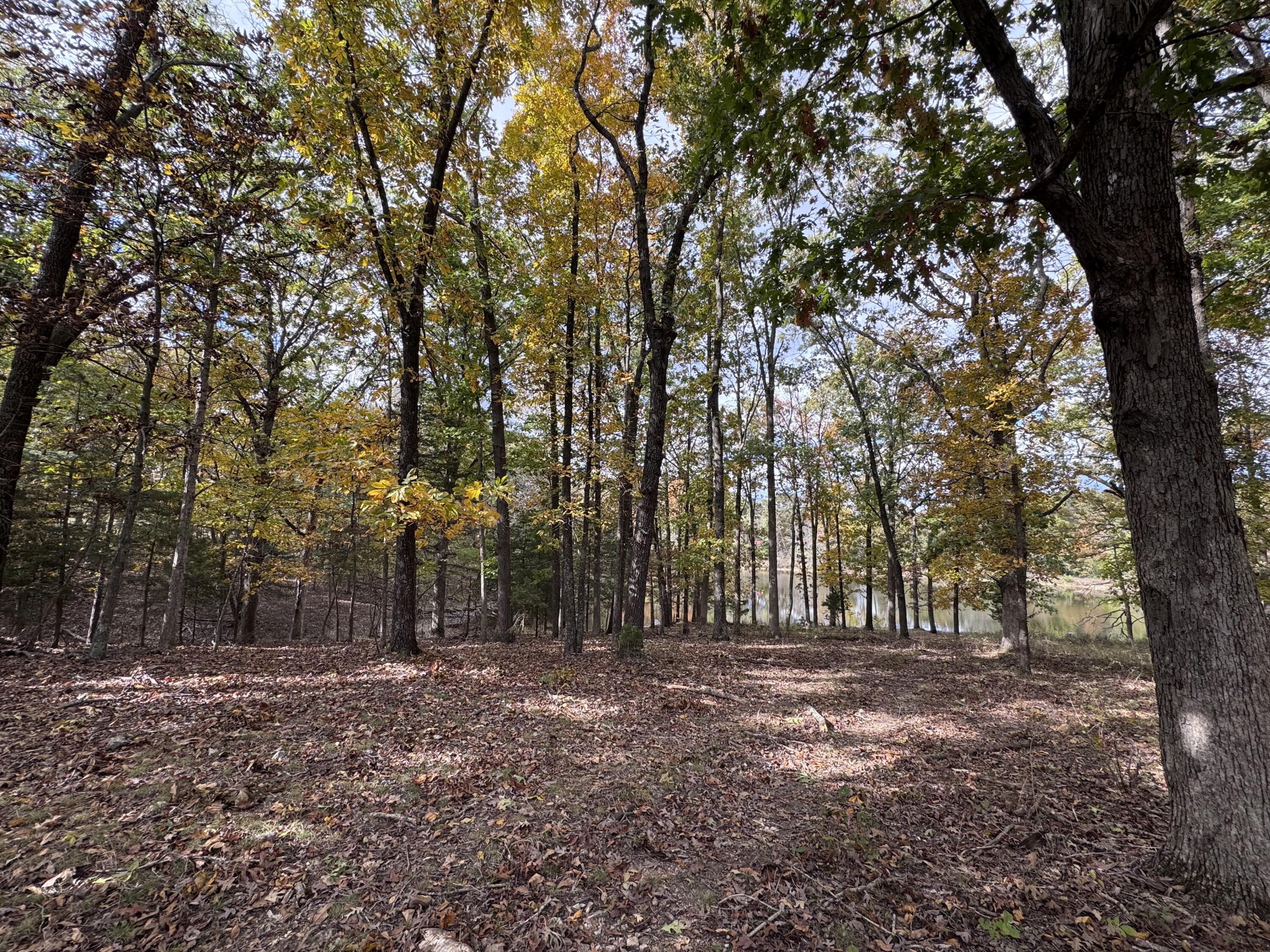 167 East 334th Road Property Photo 35