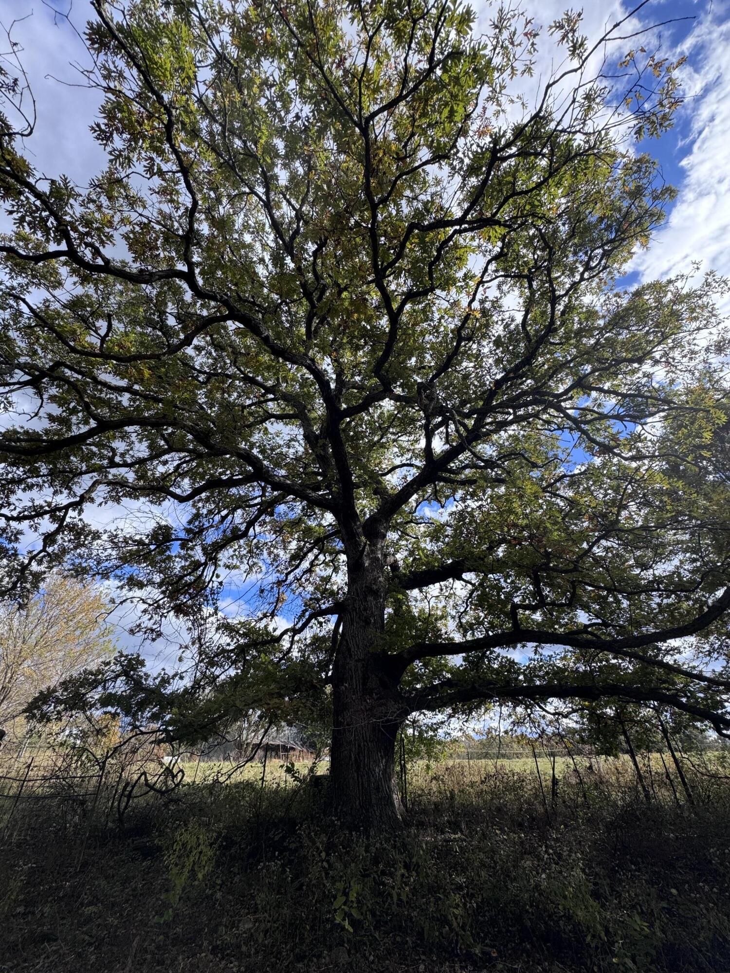 167 East 334th Road Property Photo 36