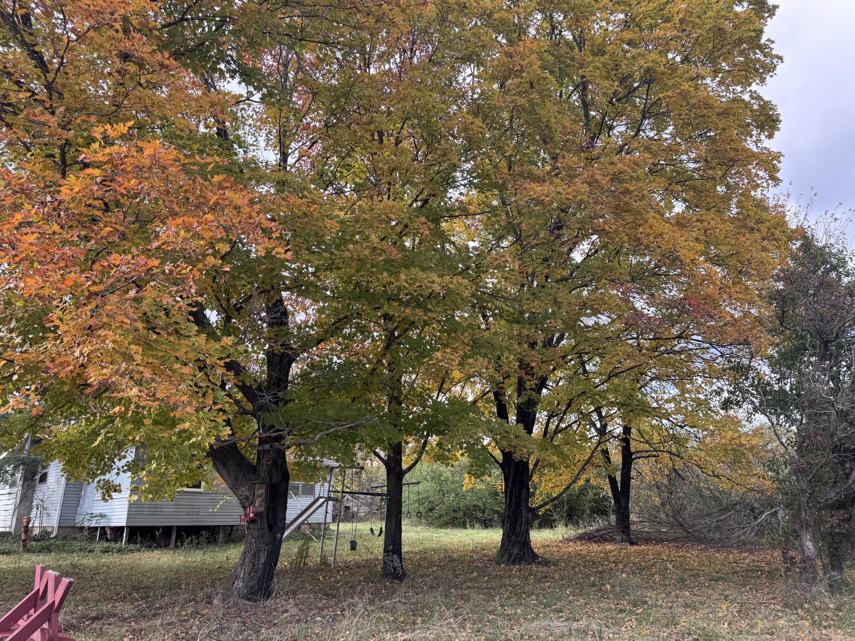 167 East 334th Road Property Photo 37