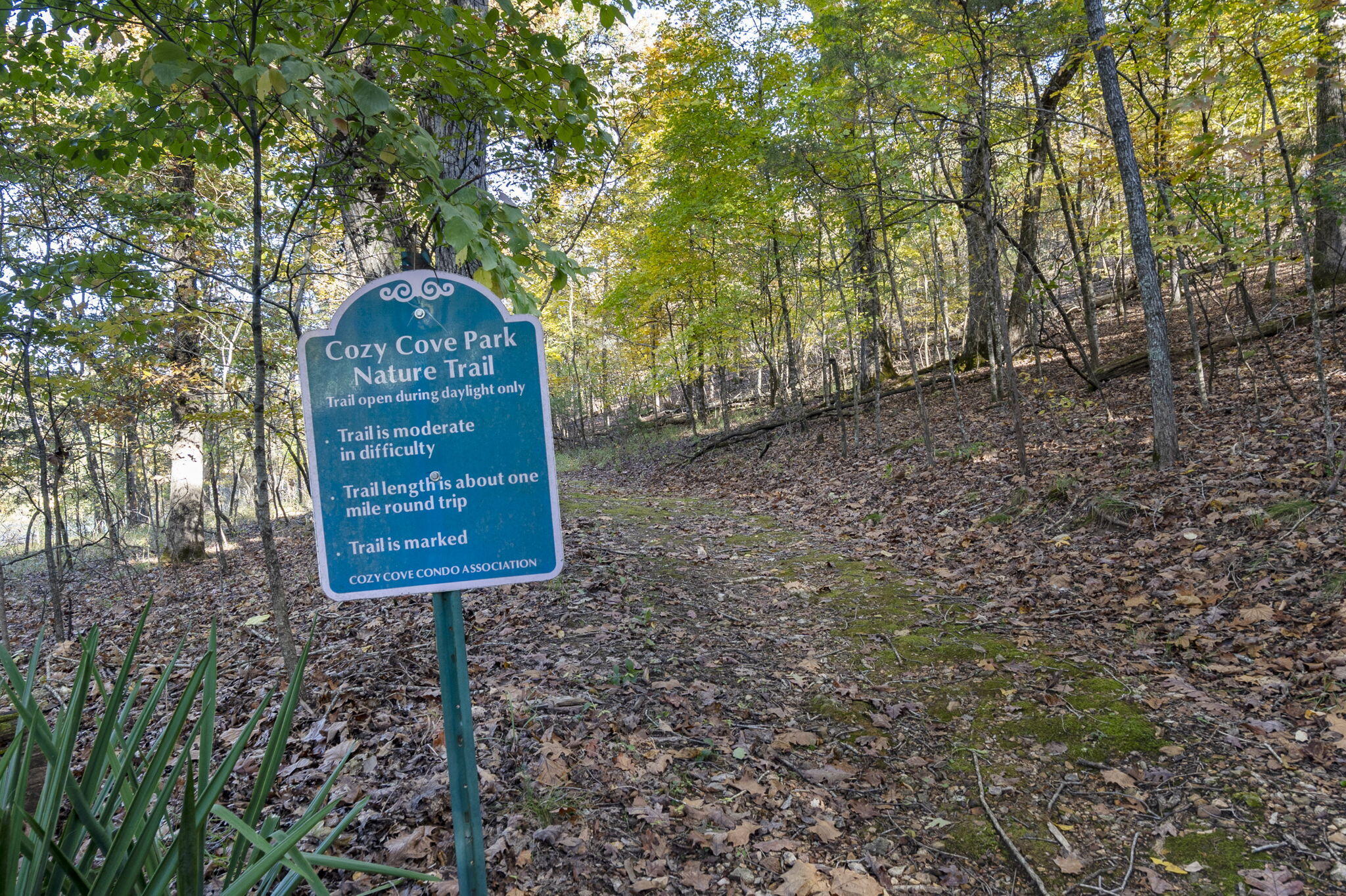 7866 Cozy Cove Road Property Photo 47