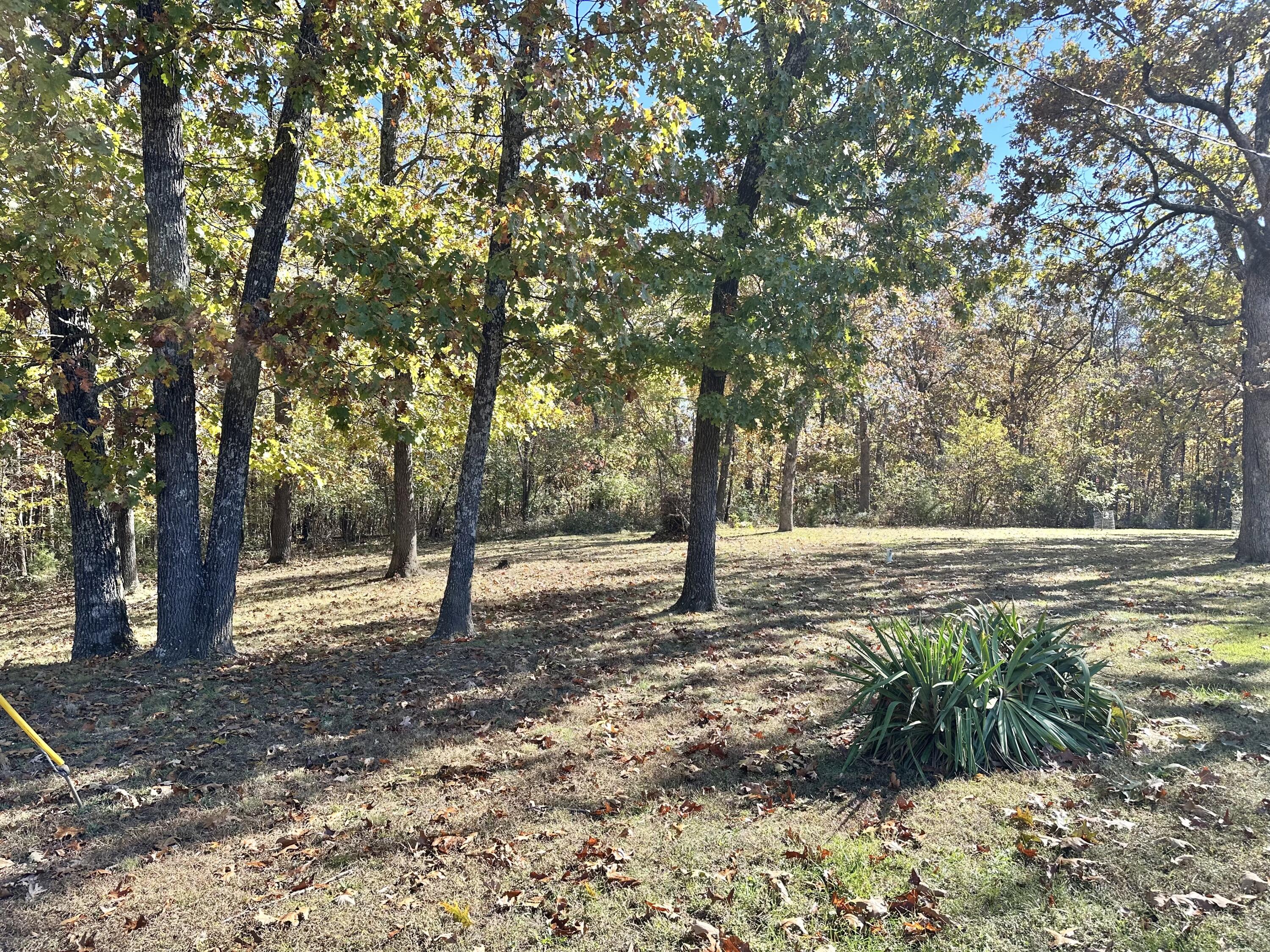 13705 Hawksbill Drive Property Photo 52