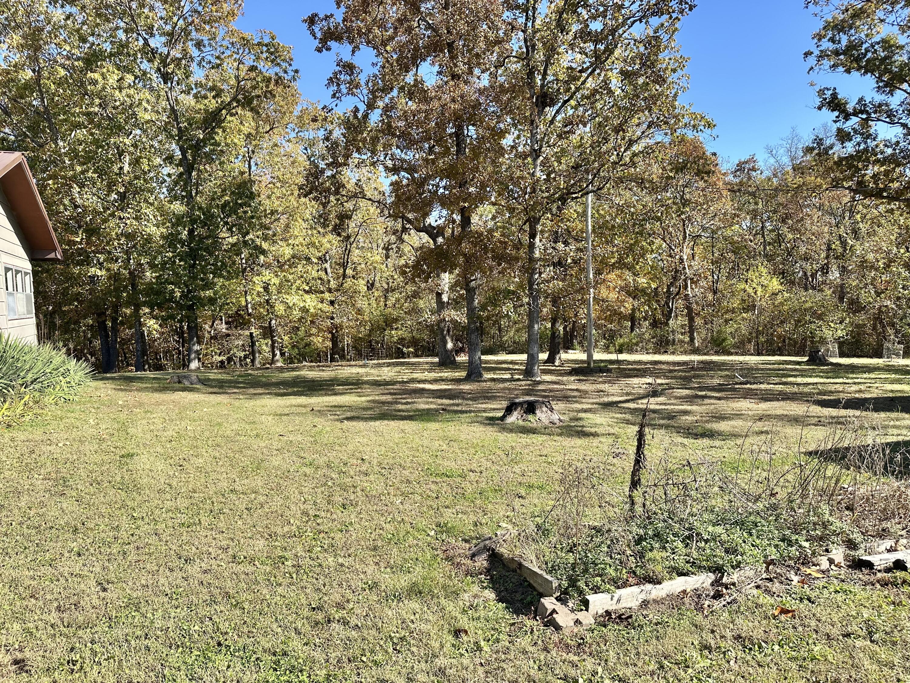 13705 Hawksbill Drive Property Photo 56